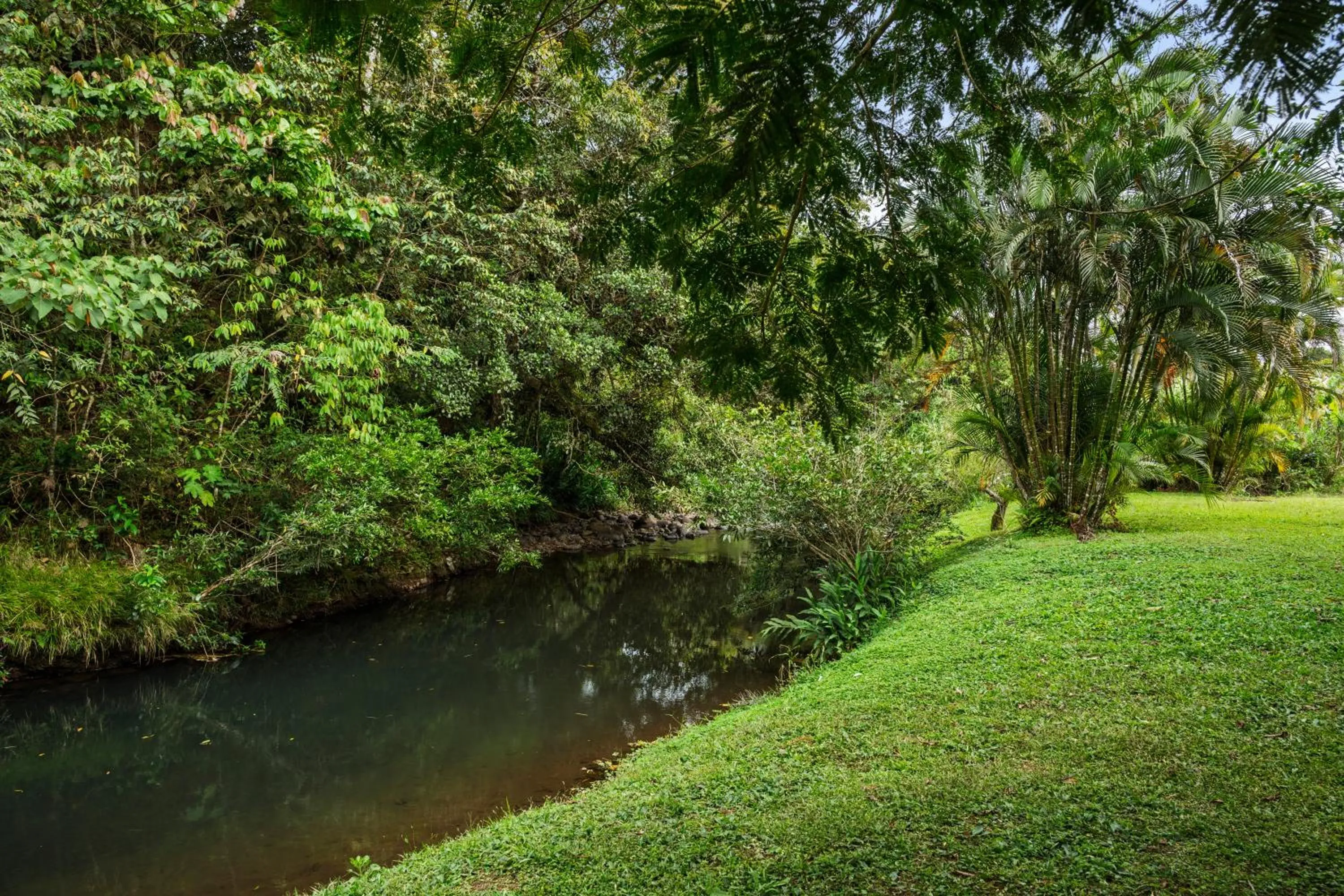 Spring in Hotel Ribera La Paz