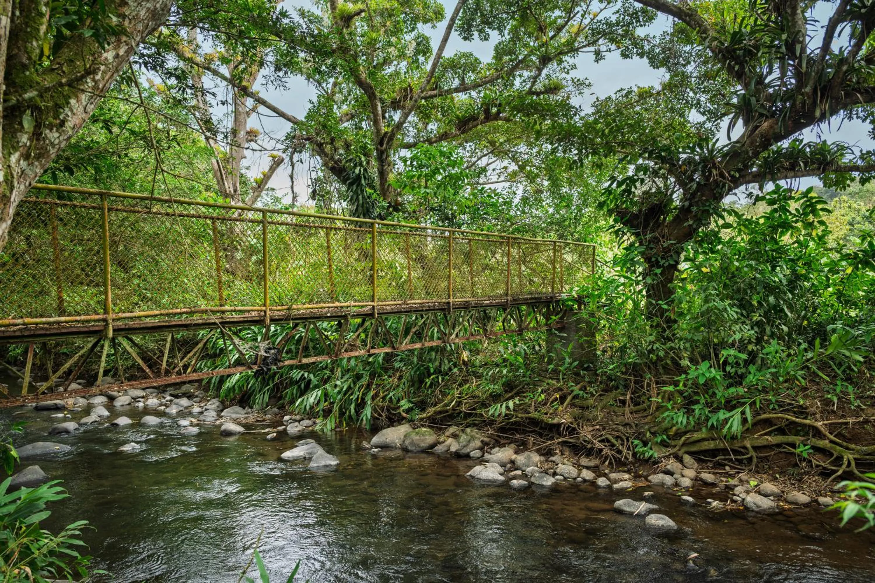 Spring in Hotel Ribera La Paz
