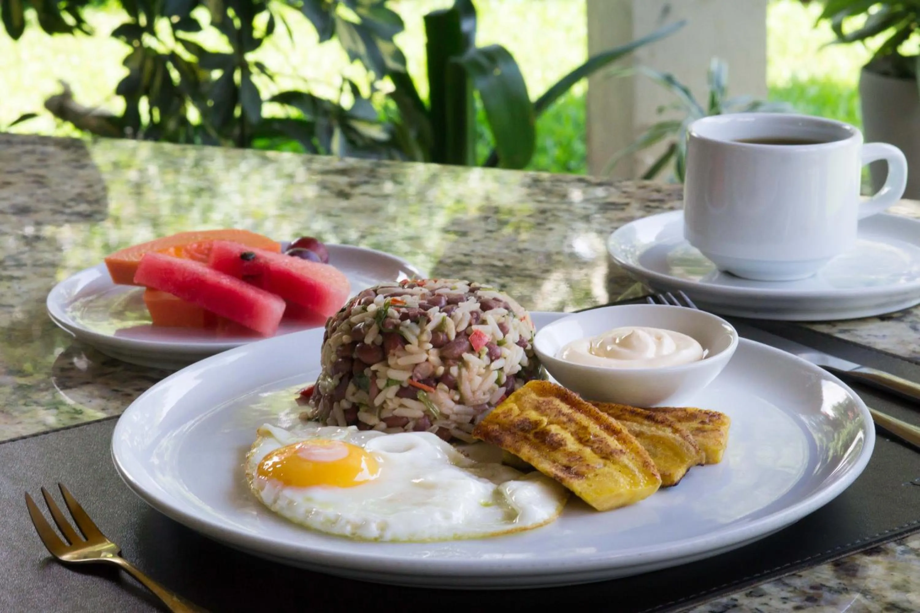 Food and drinks in Hotel Ribera La Paz