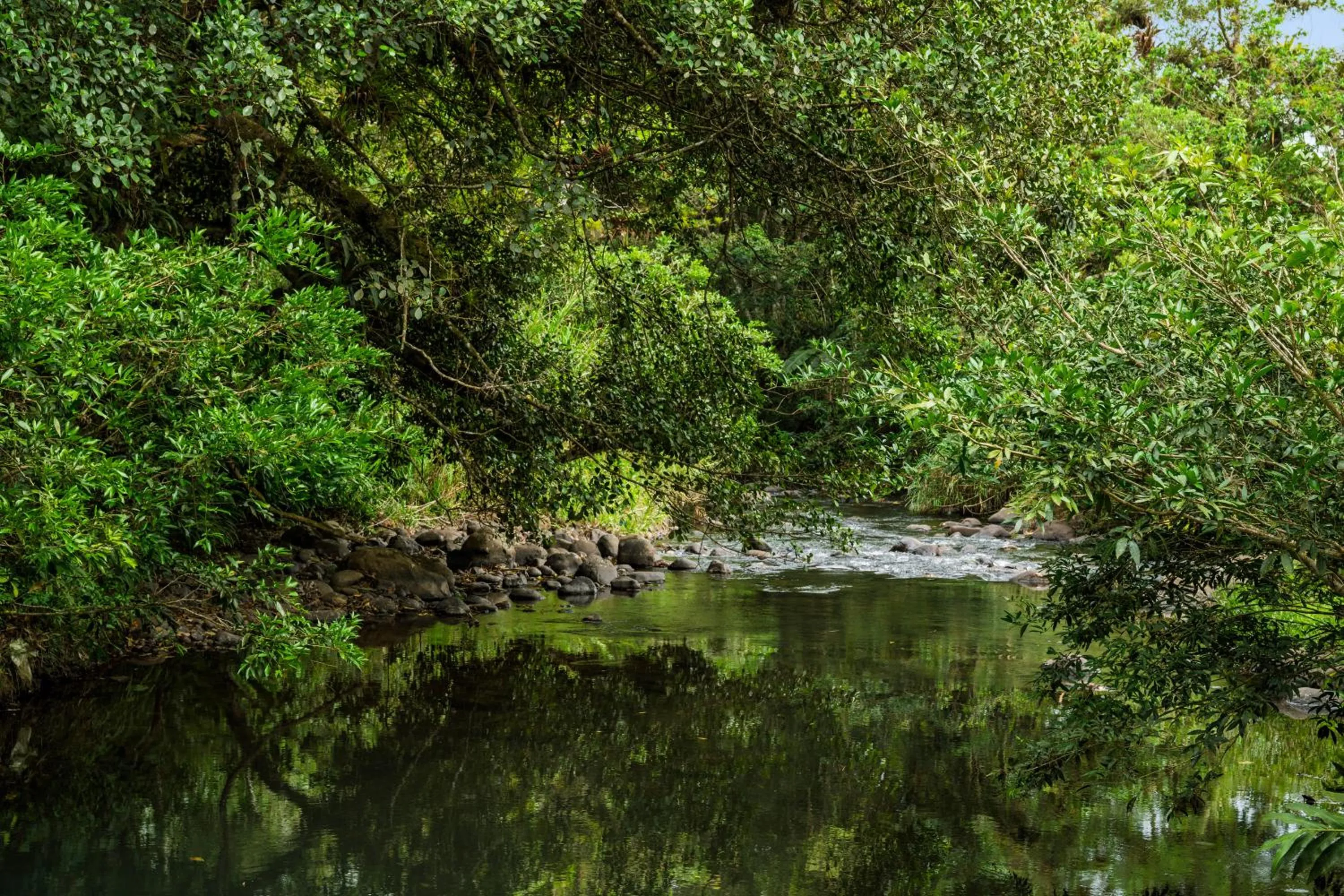Spring in Hotel Ribera La Paz