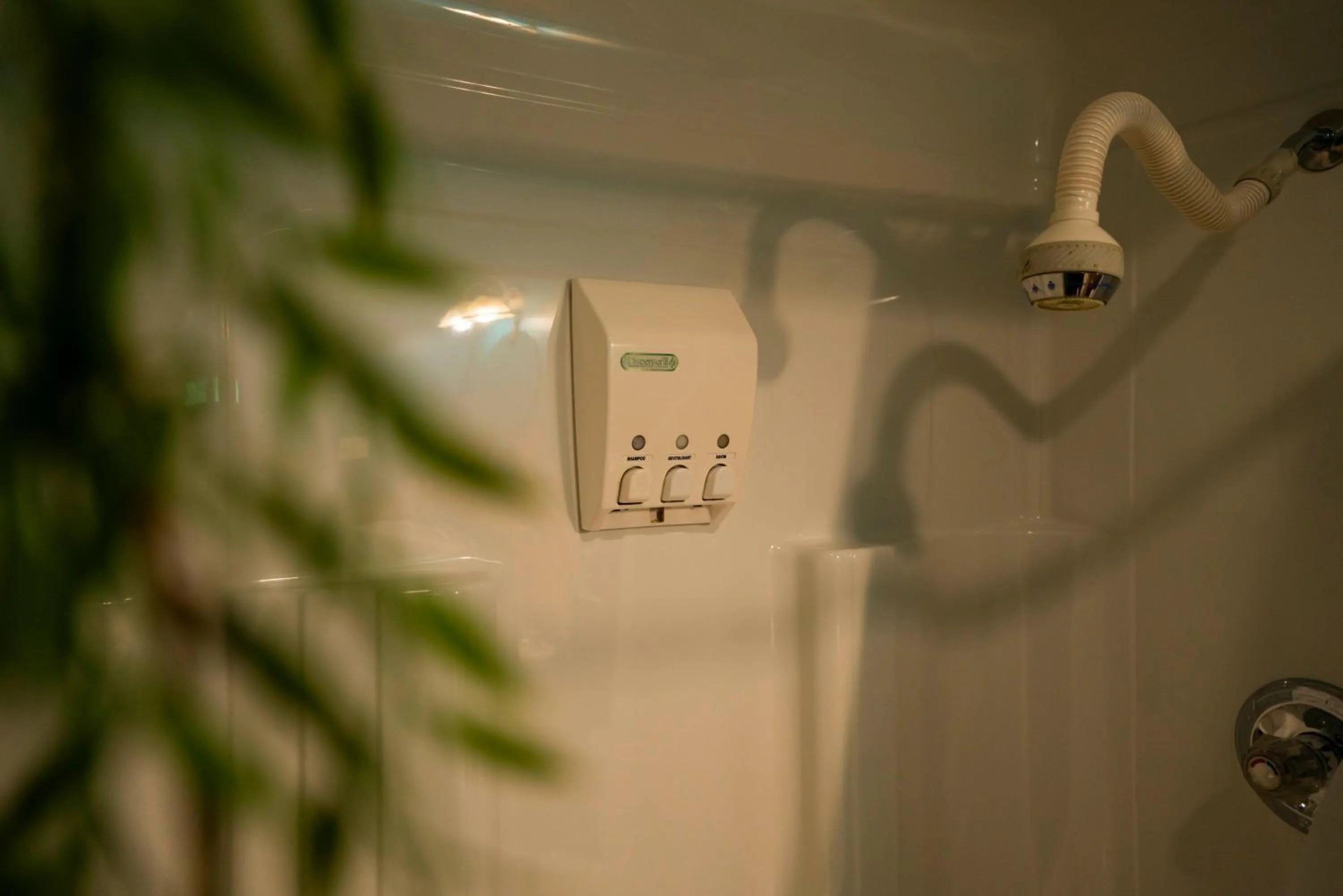 Shower in Gîte Crystal Inn