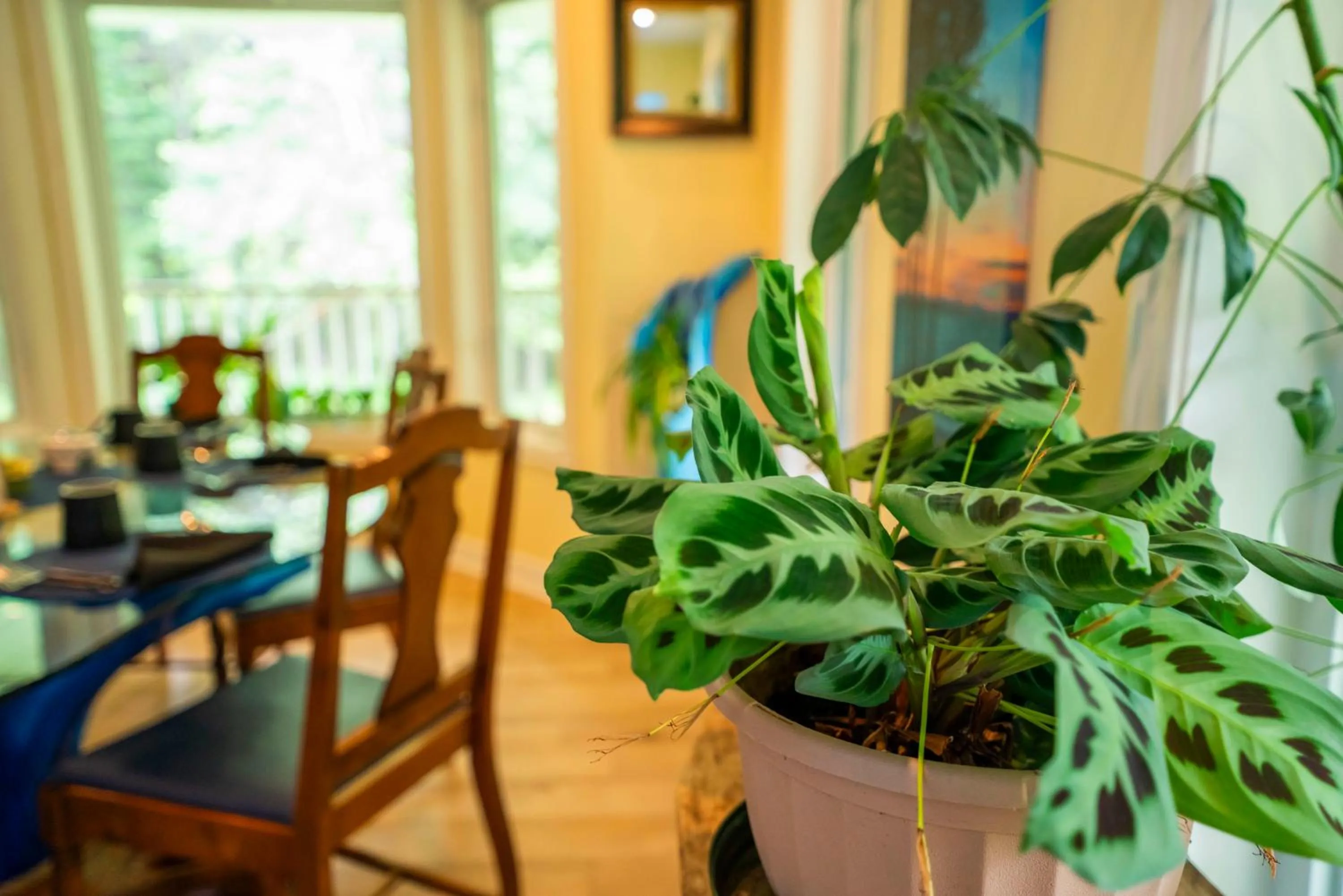 Decorative detail in Gîte Crystal Inn