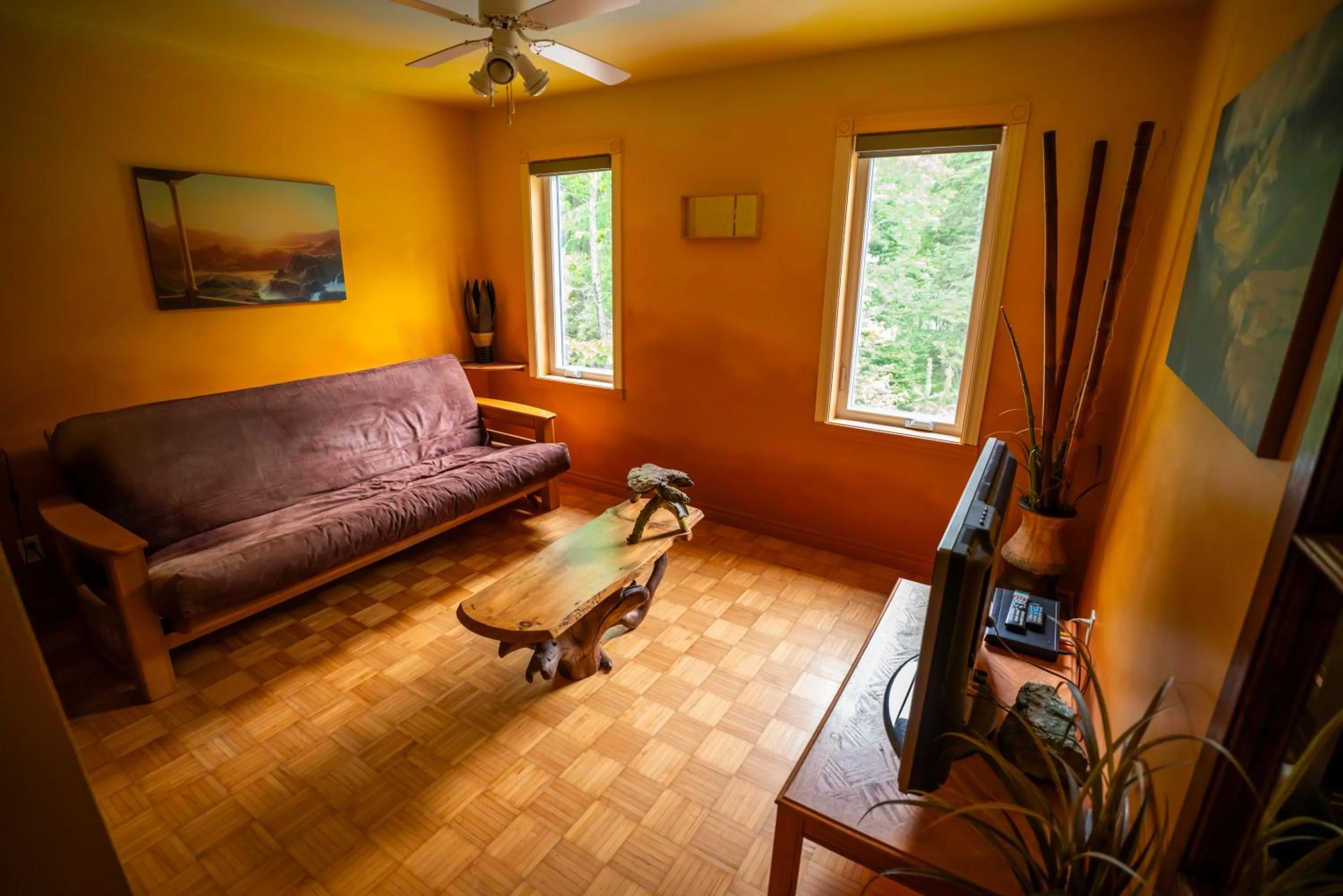 TV and multimedia in Gîte Crystal Inn