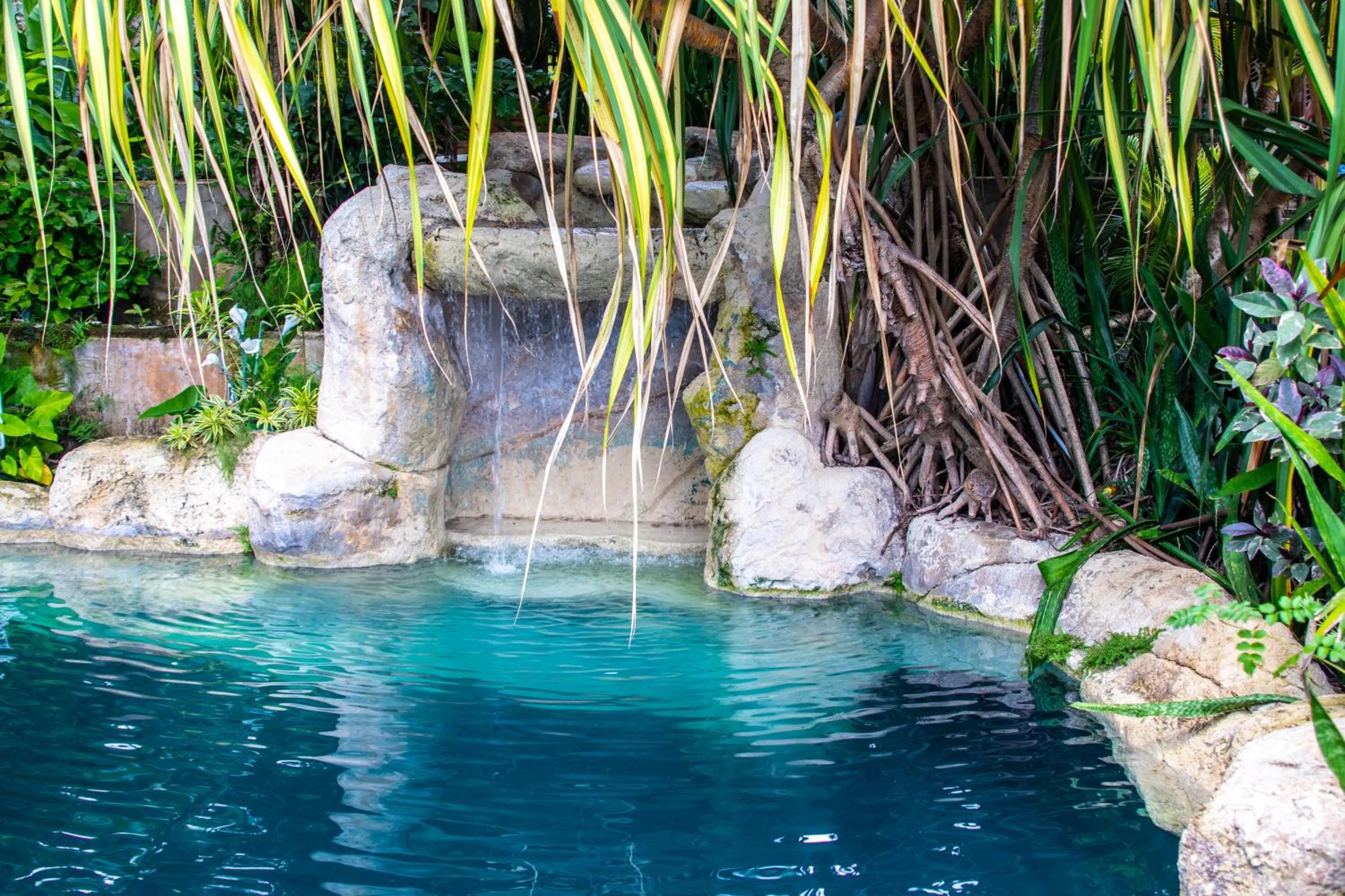 Swimming pool in Sweetfield Manor