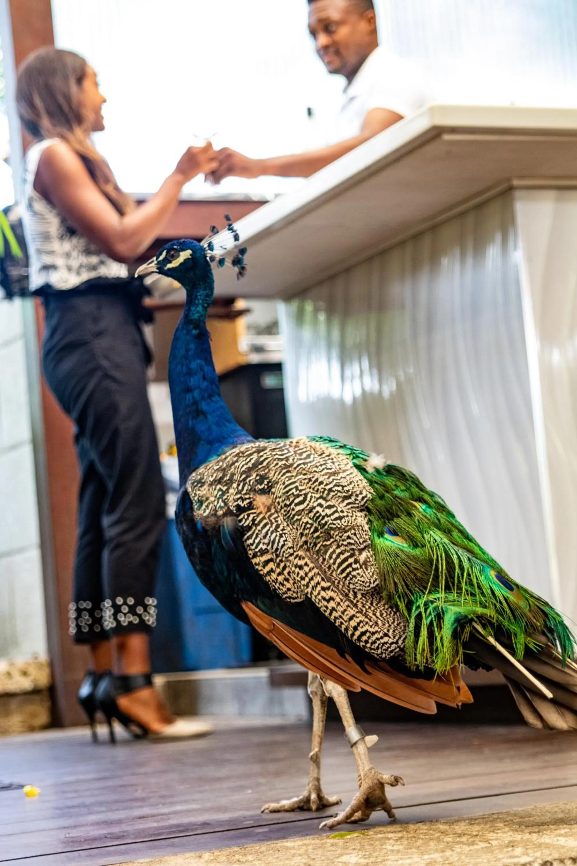 Lounge or bar in Sweetfield Manor