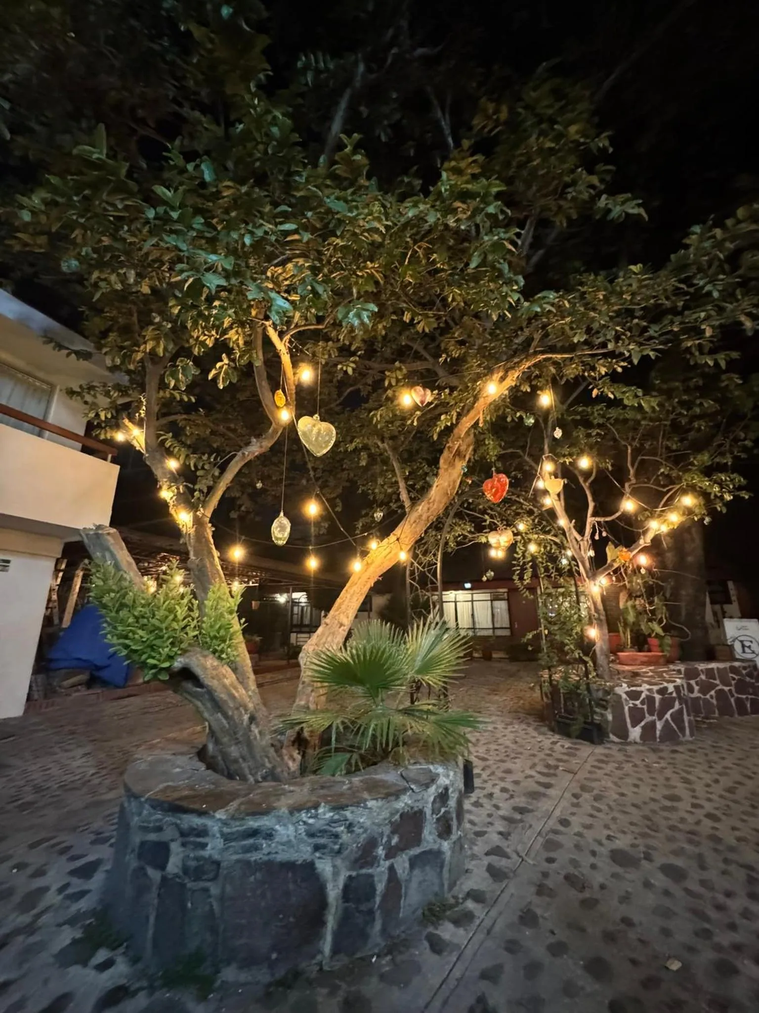 Night in Hotel Isabel