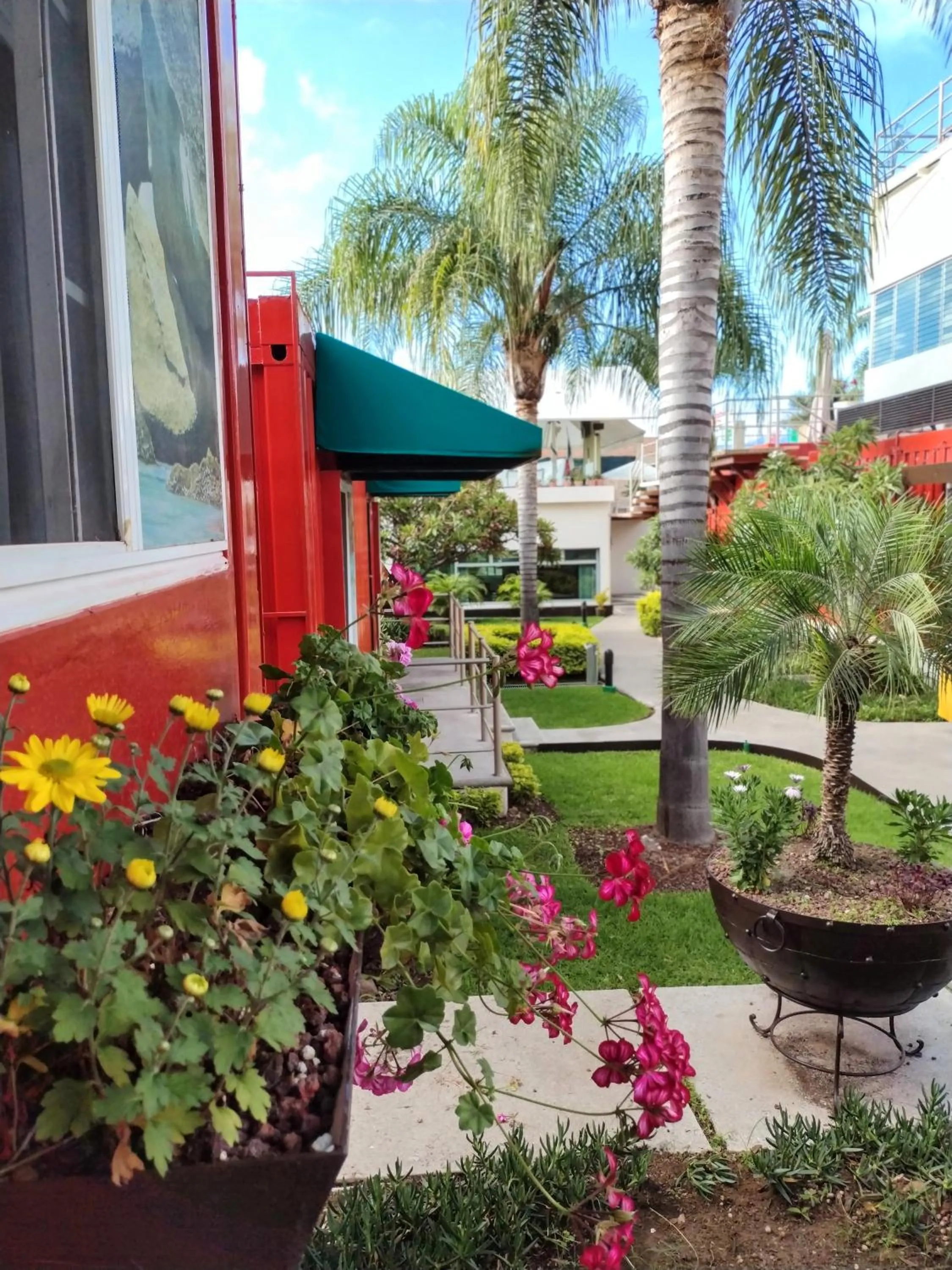 Garden view in Hotel del Pescador