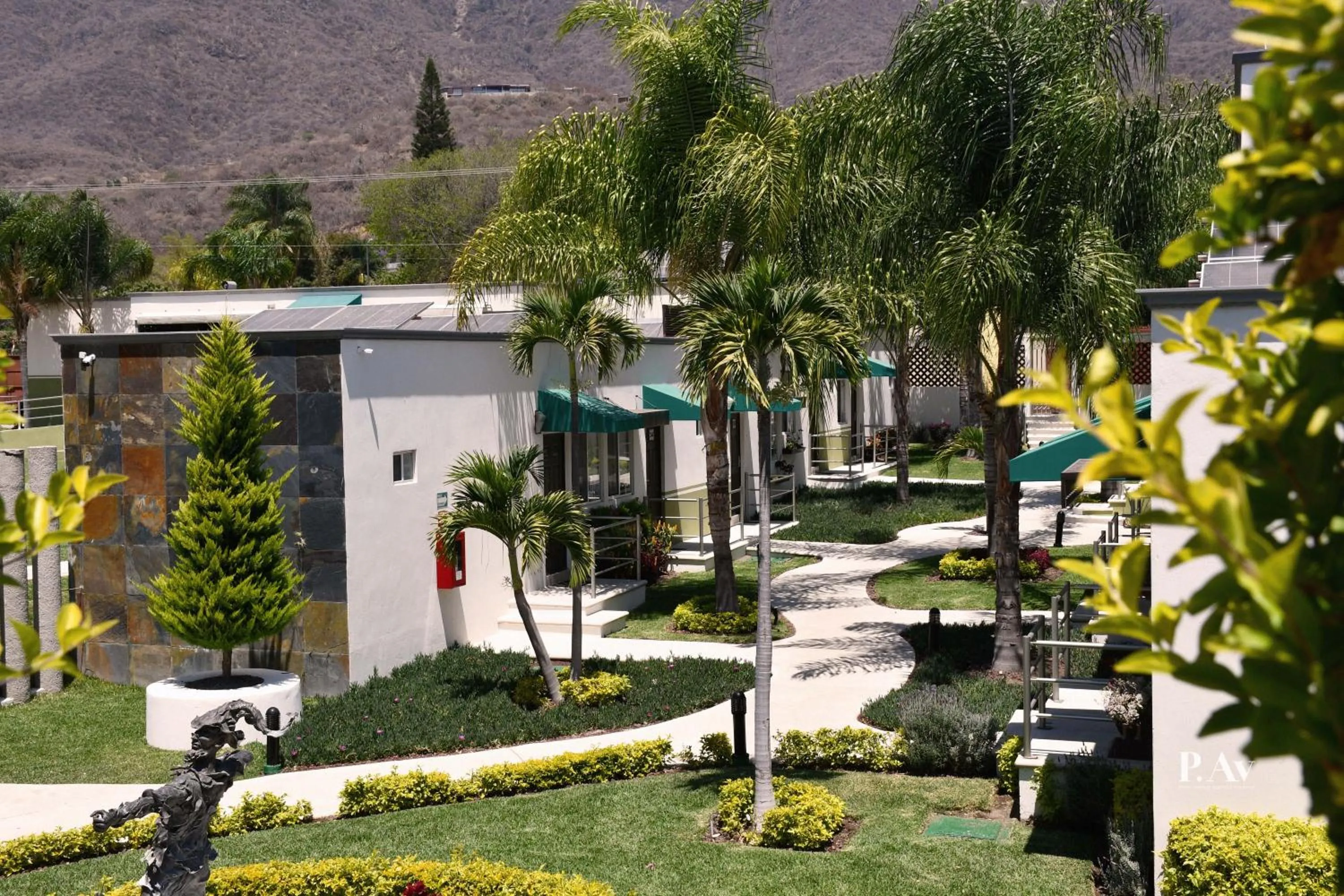 Garden view in Hotel del Pescador