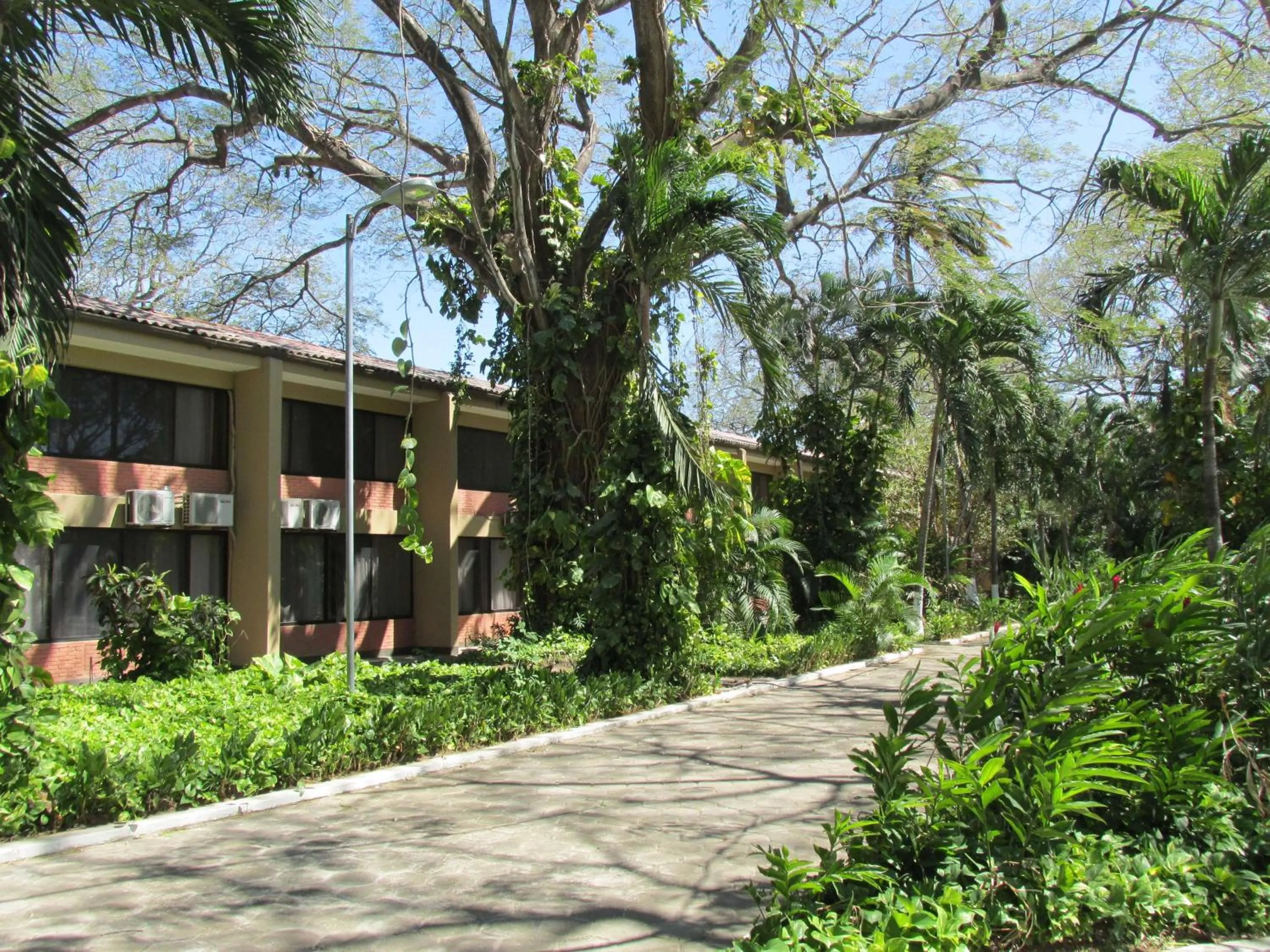 Property building in Best Western El Sitio Hotel