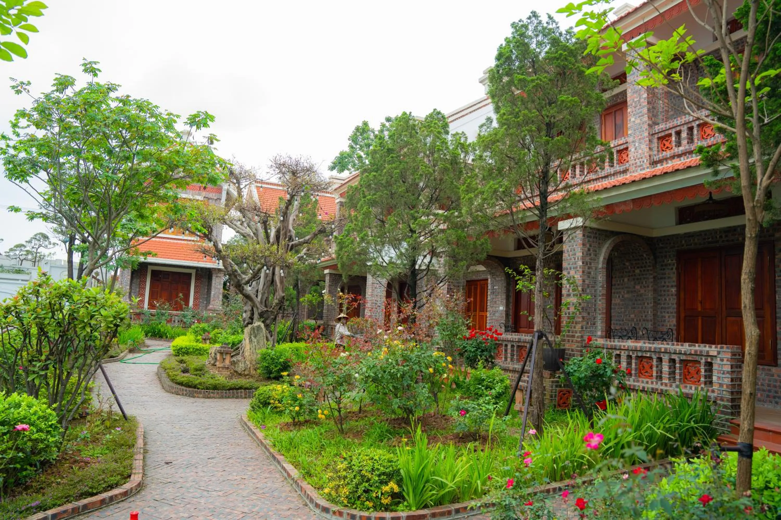 Garden in Hòa Nam Hotel