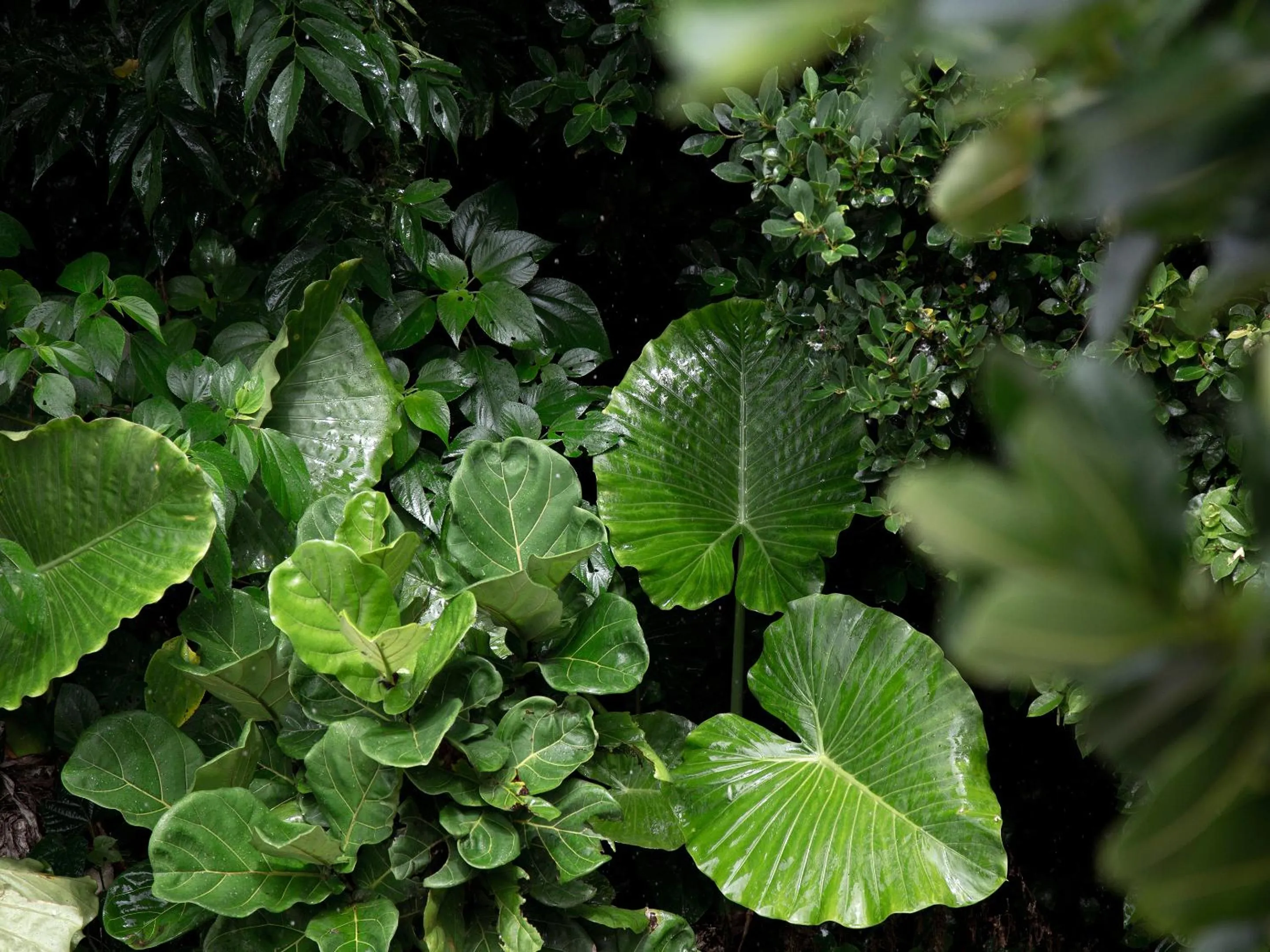 Natural landscape in Jusandi