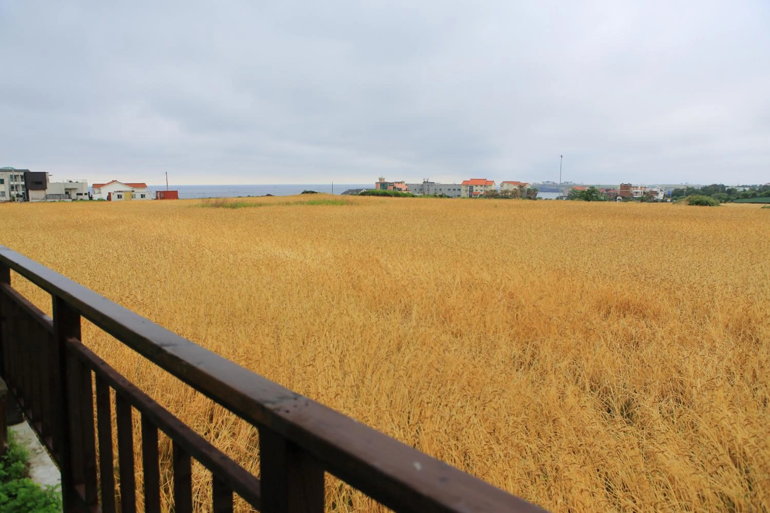 Day in Jeju Gillime Pension