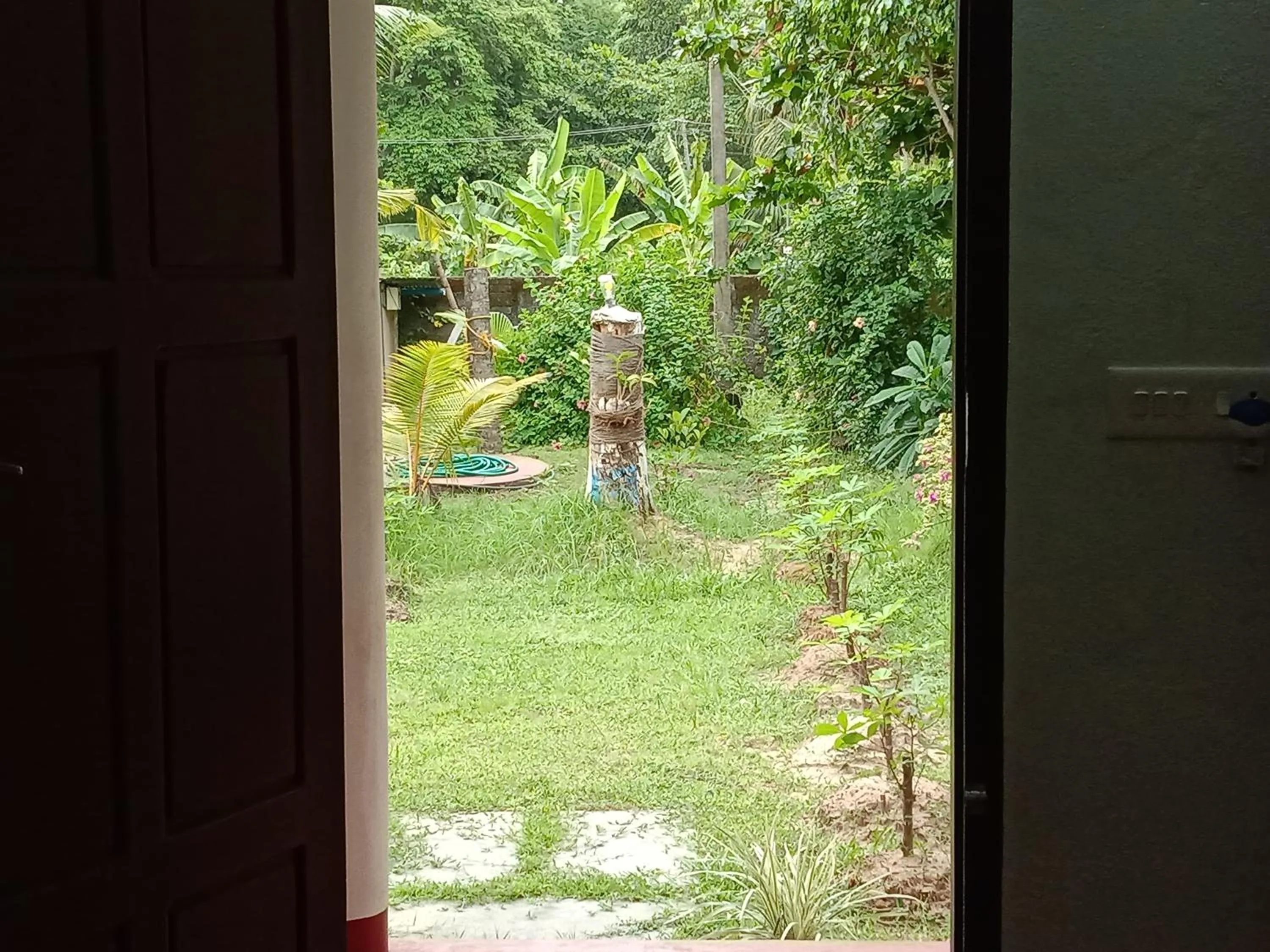 Garden in Angels' homestay Marari