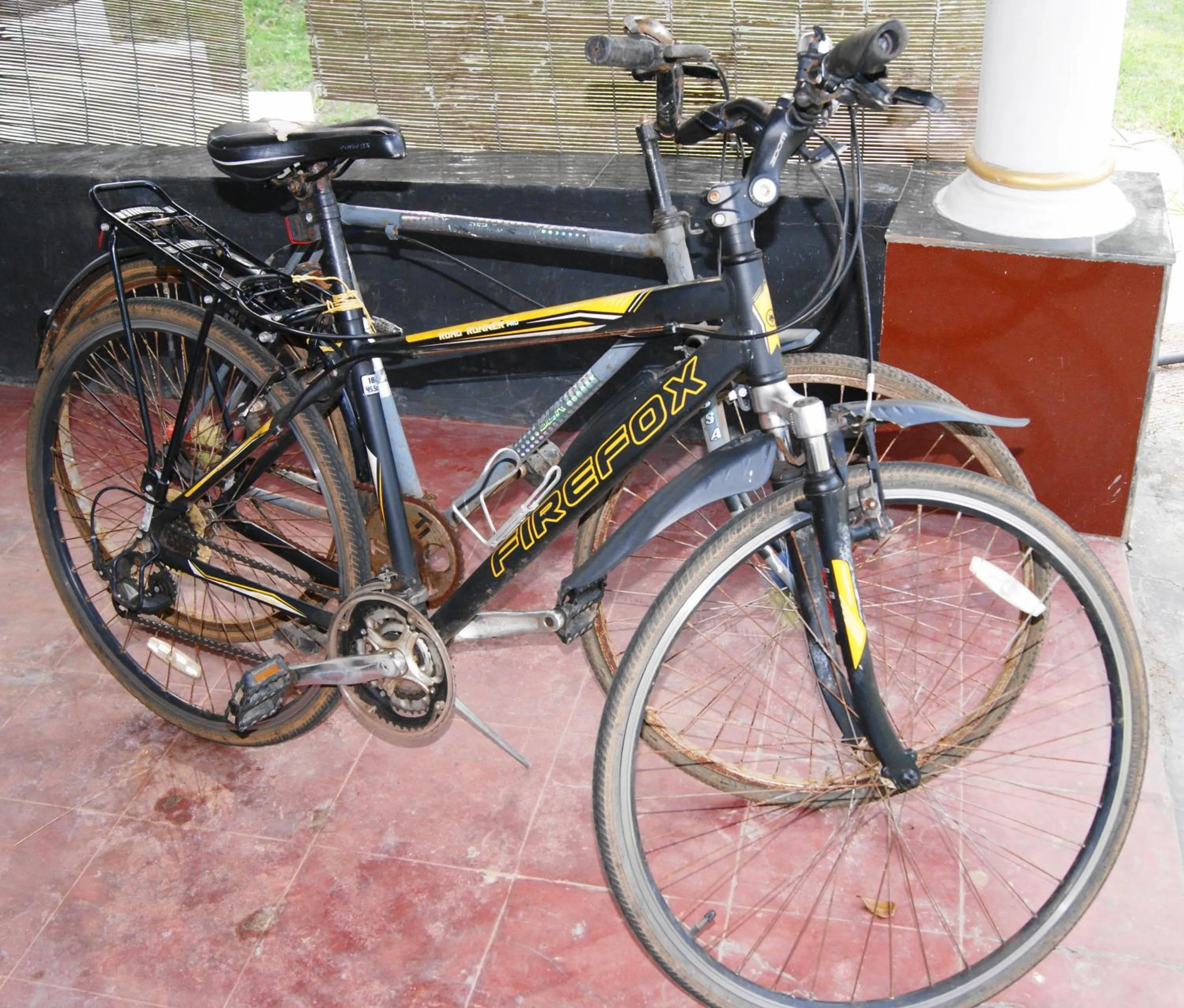 Cycling in Angels' homestay Marari