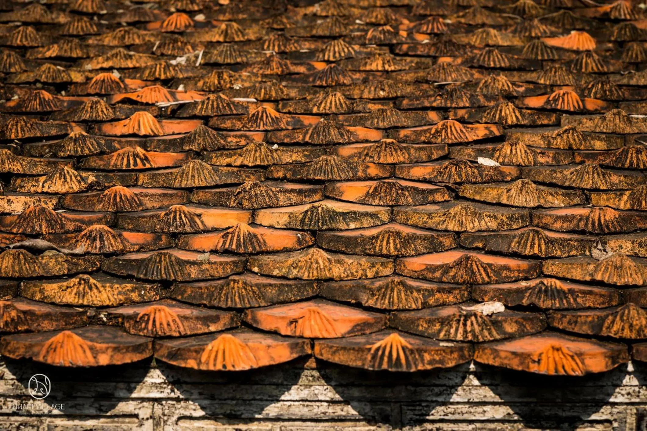 Natural landscape in Nham Village Resort