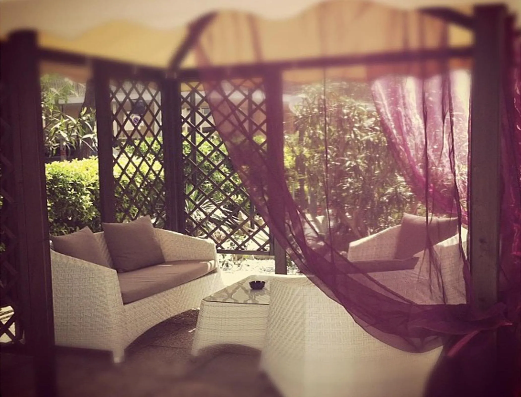 Garden in Hotel Marcus