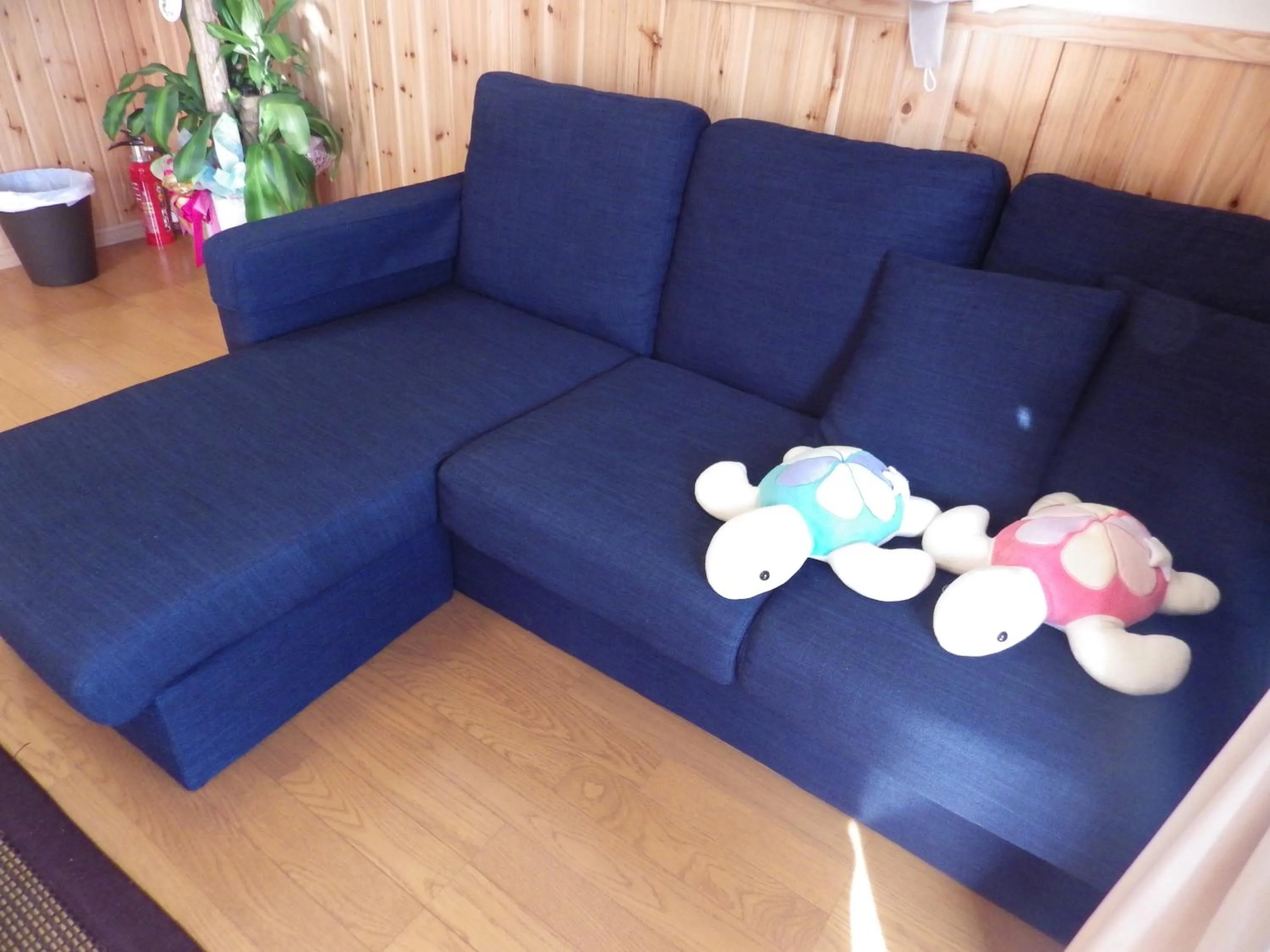 Living room in Churaumi Village