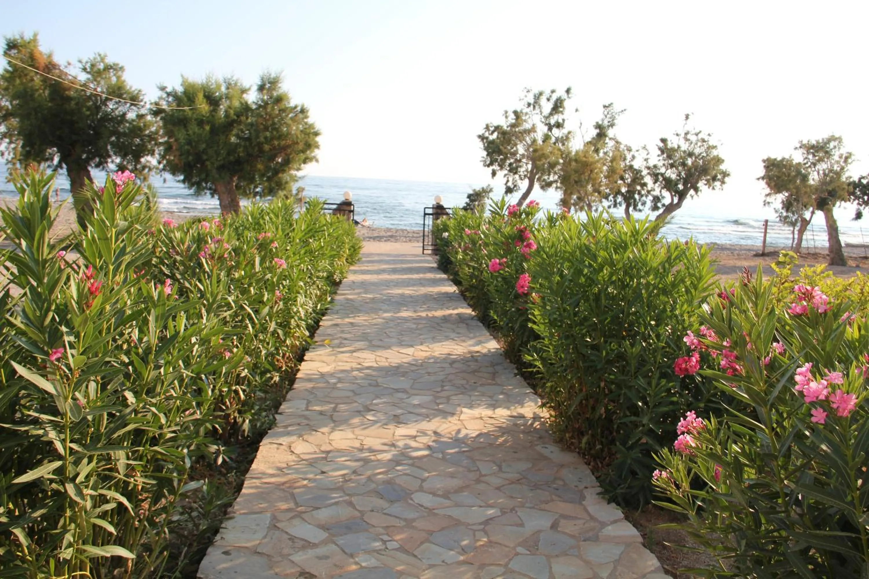 Garden in Studios Stavris