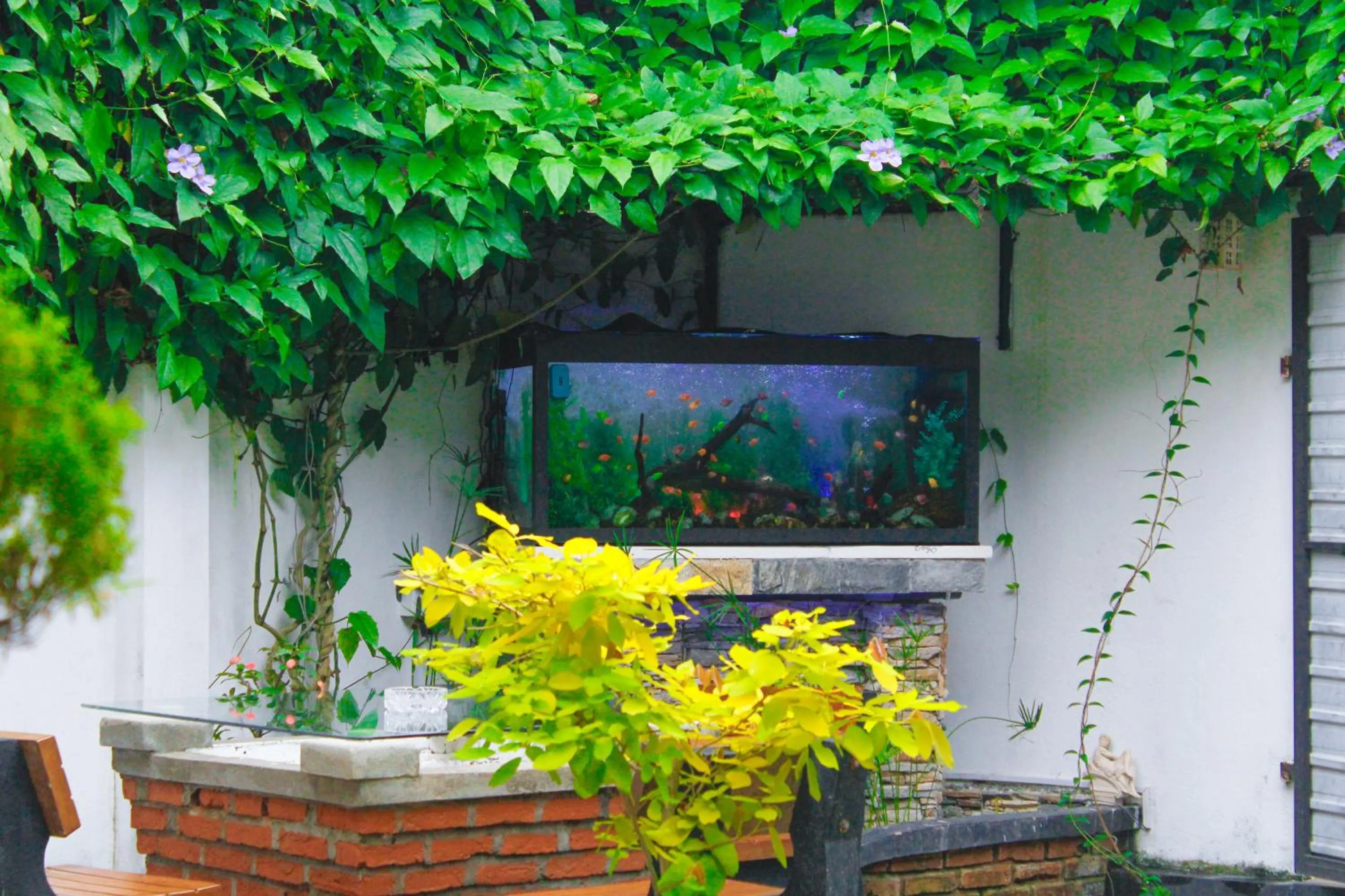 Day in Airport J Dream Resort