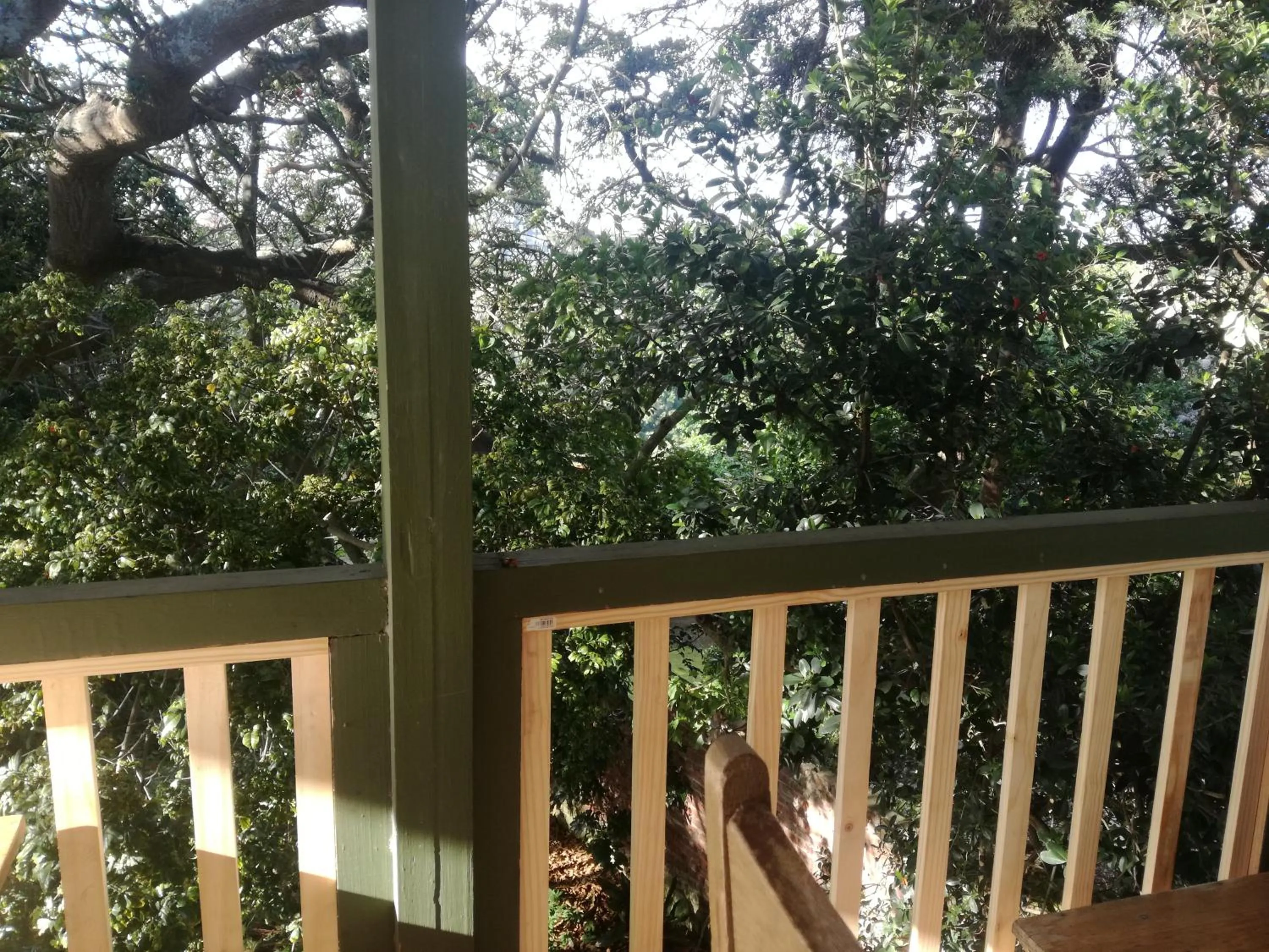 Spring in Valley Guest House