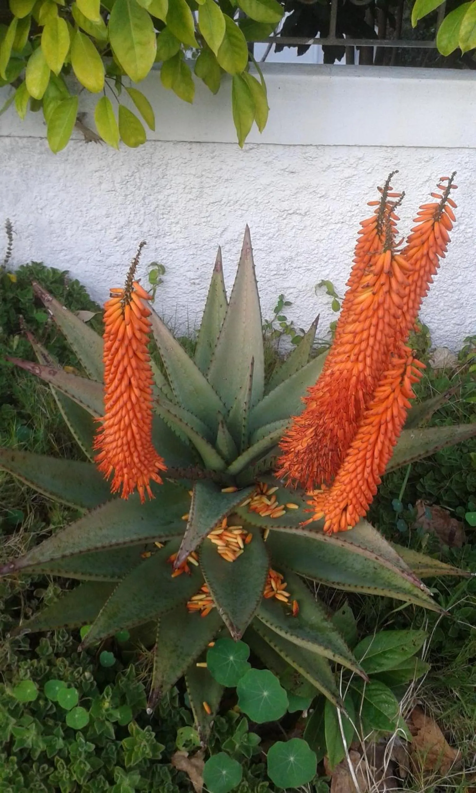 Facade/entrance in Valley Guest House