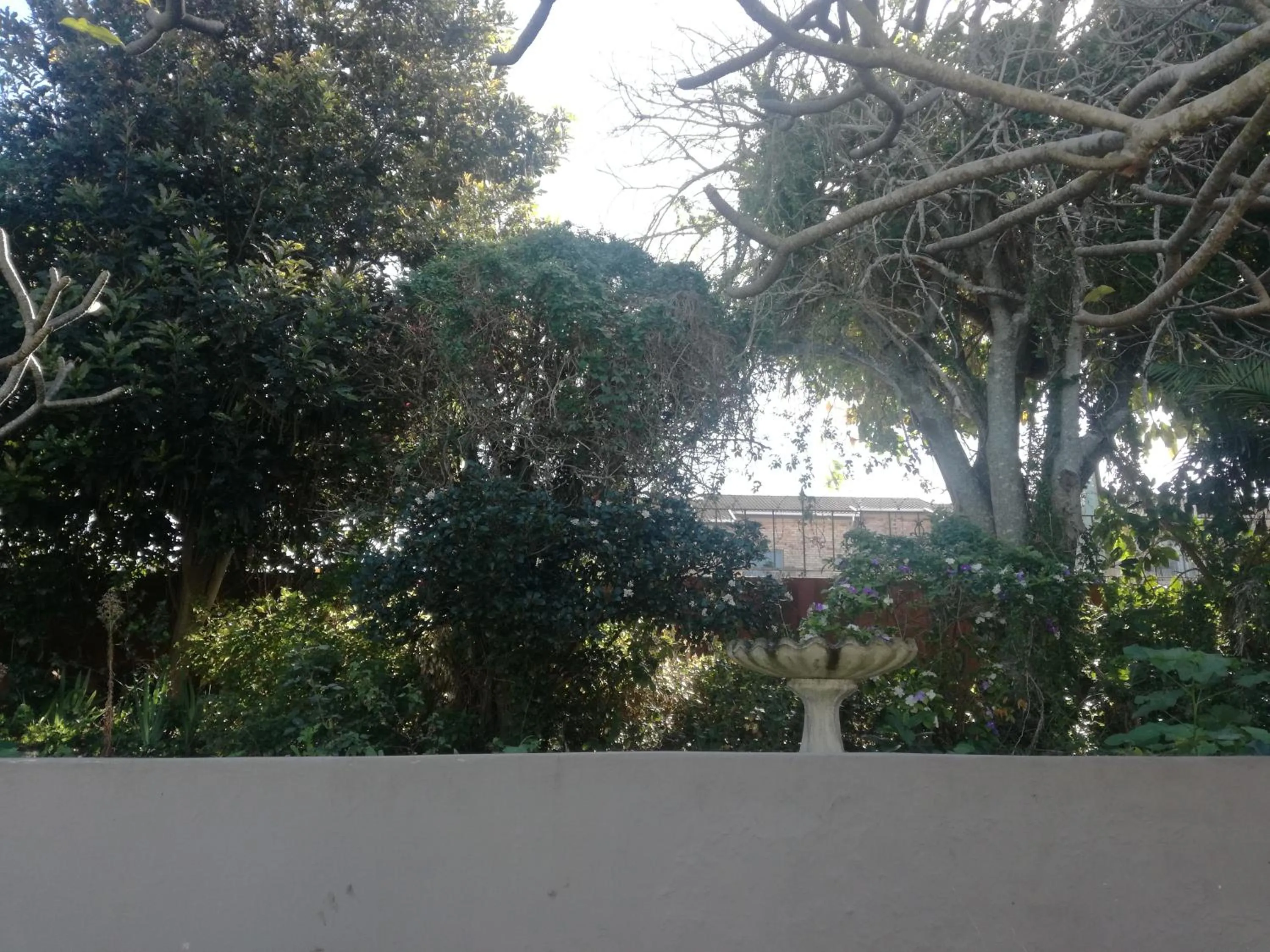 Garden in Valley Guest House