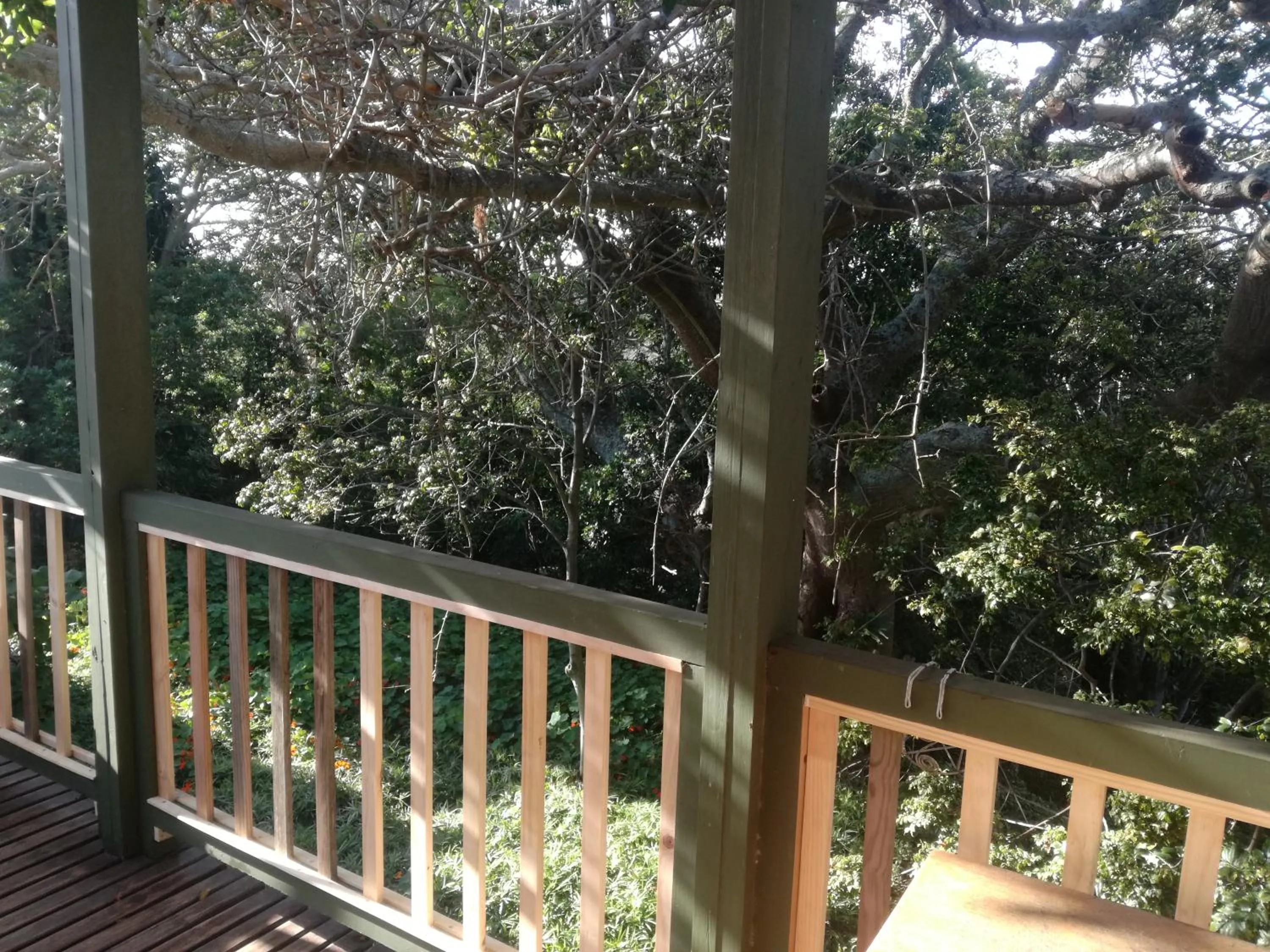 Spring in Valley Guest House