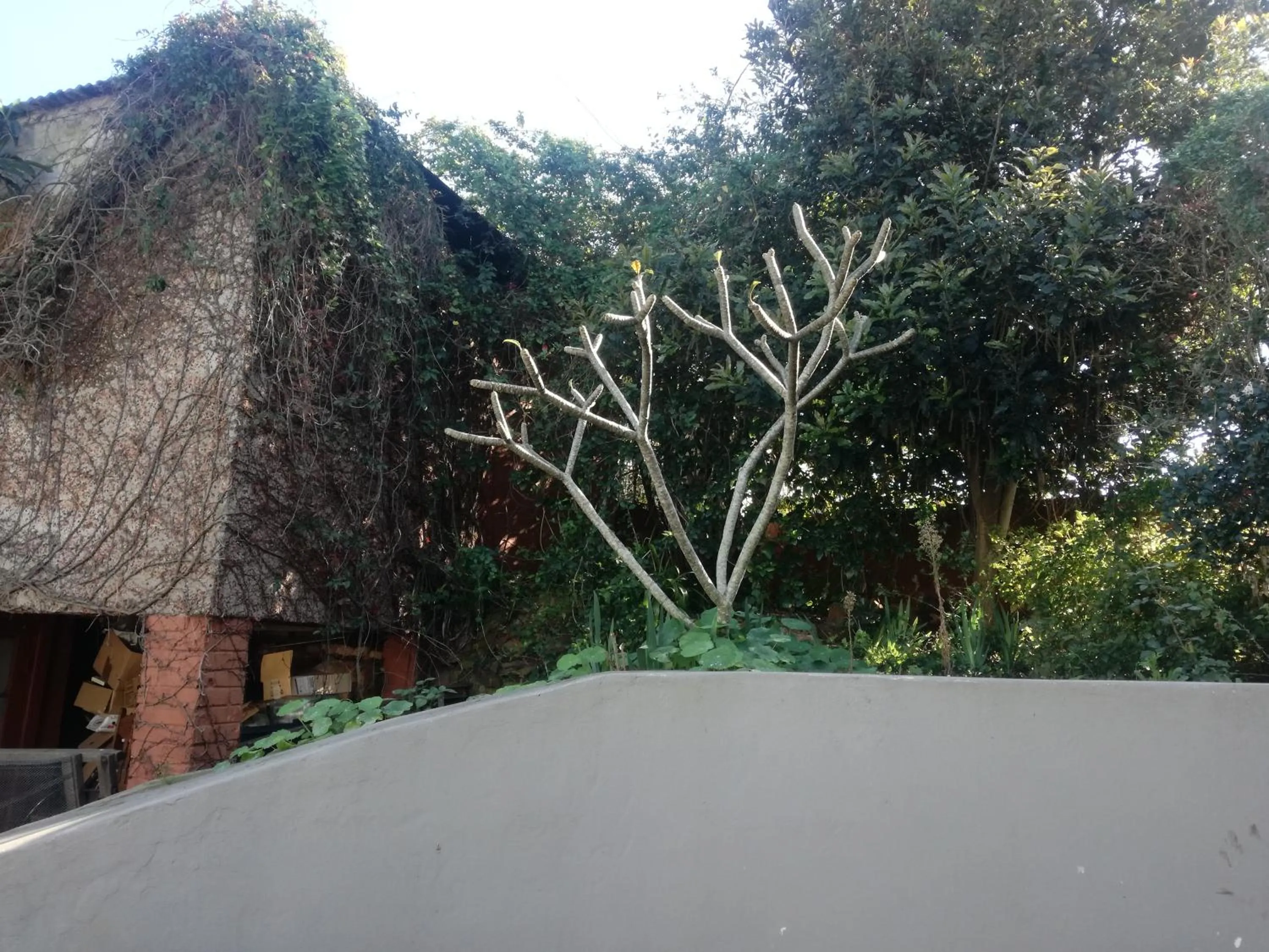 Garden in Valley Guest House