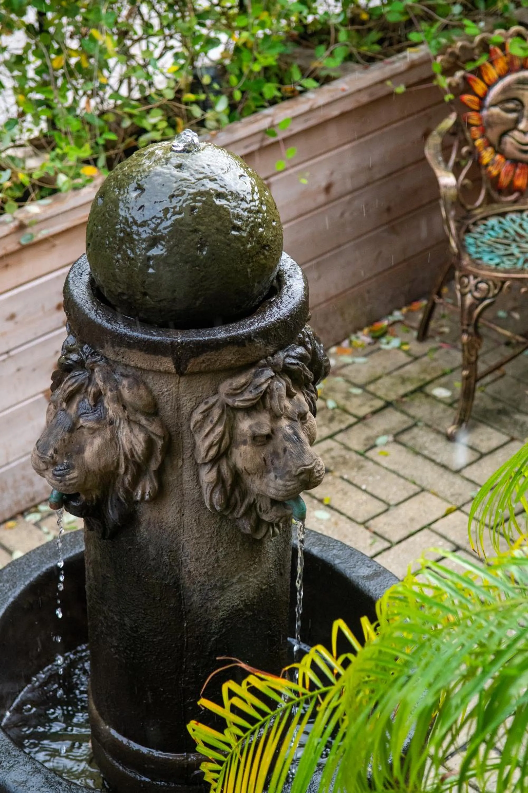 Garden in Casa De Hernandez
