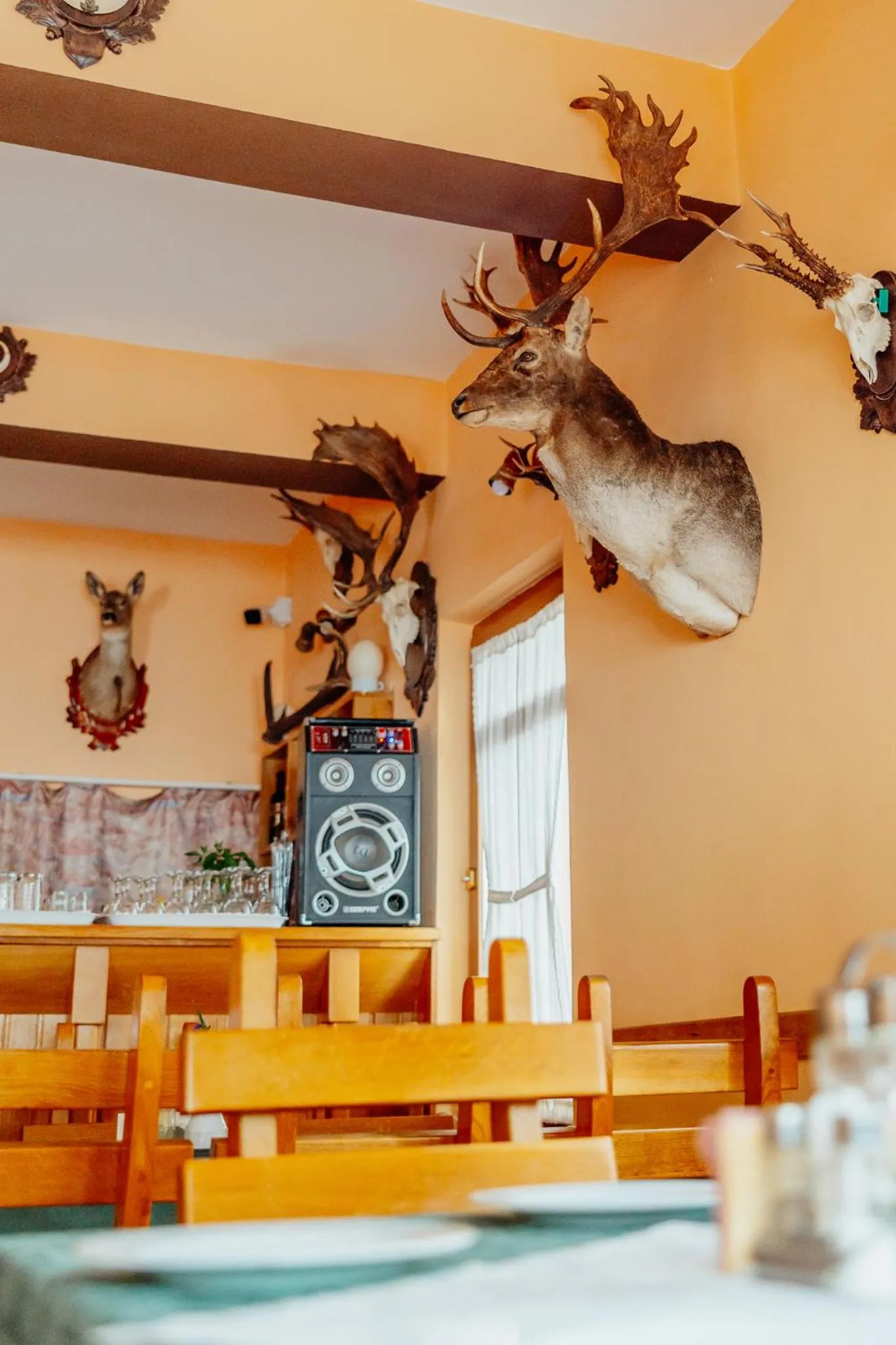 Food and drinks in Pensiunea Vanatorul