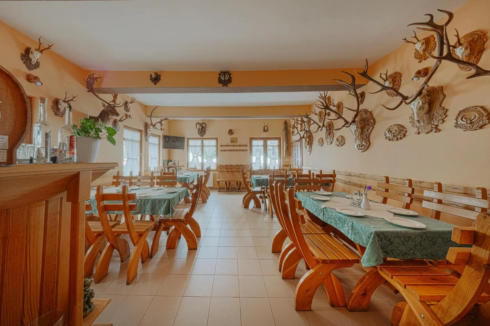 Restaurant/places to eat in Pensiunea Vanatorul