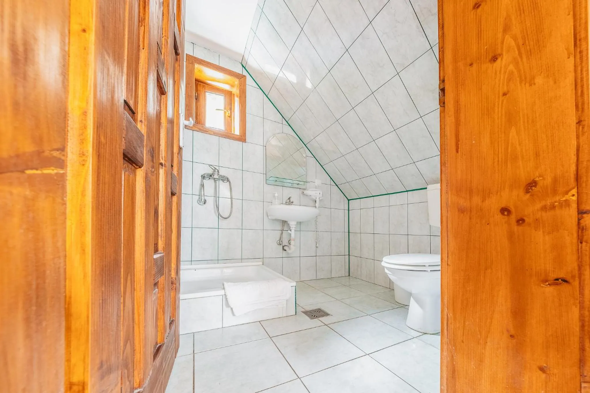 Shower in Pensiunea Vanatorul