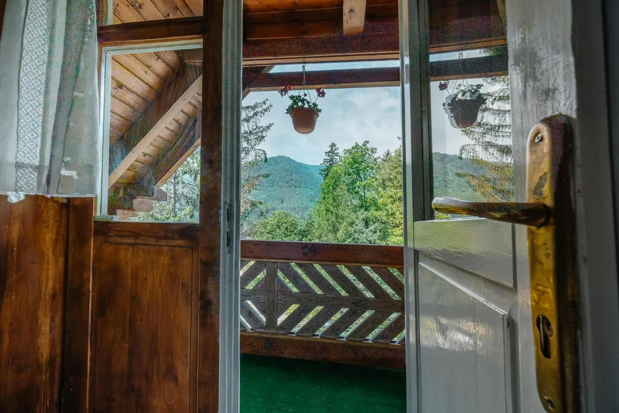 Day in Pensiunea Vanatorul