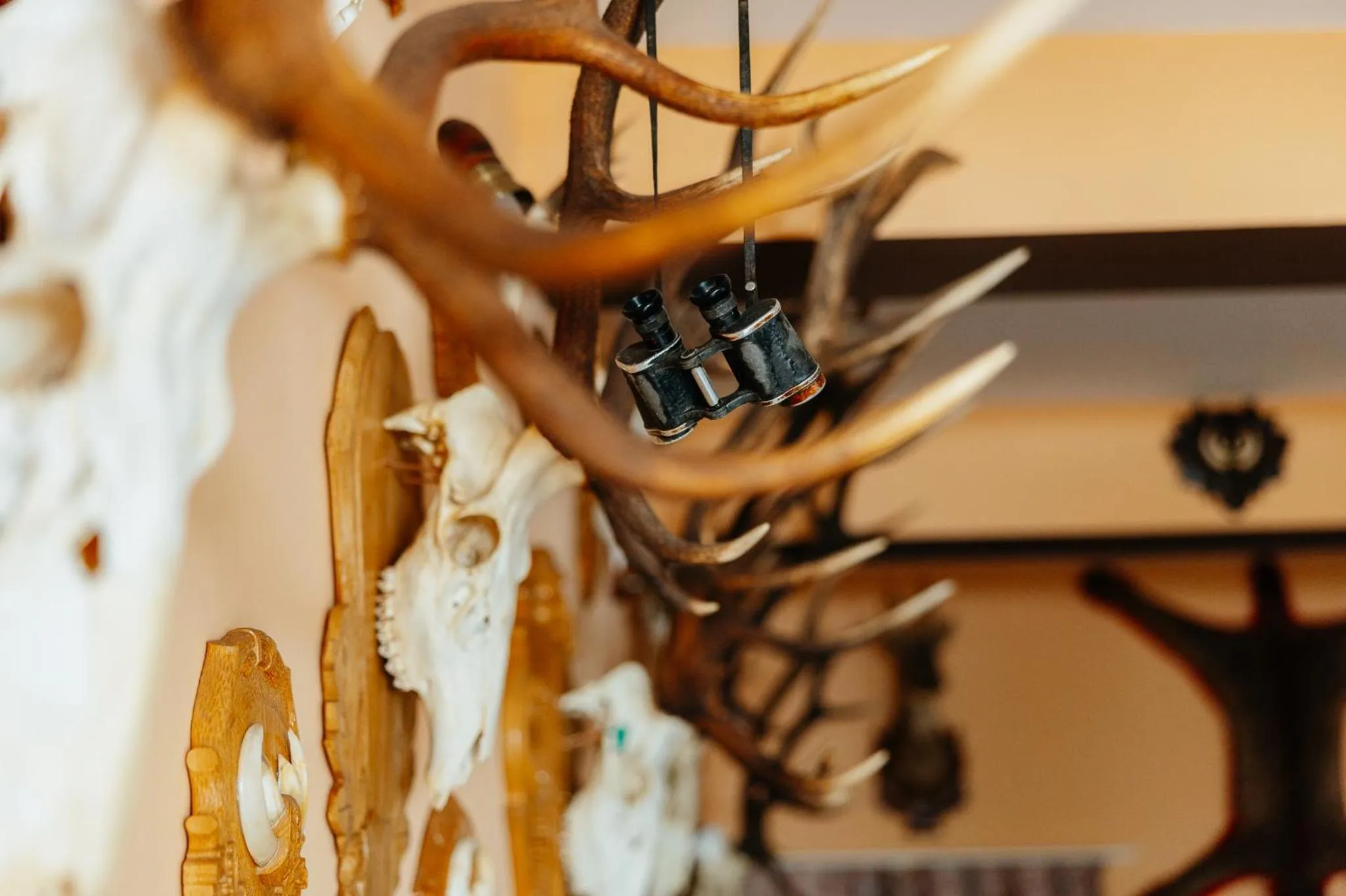 Decorative detail in Pensiunea Vanatorul