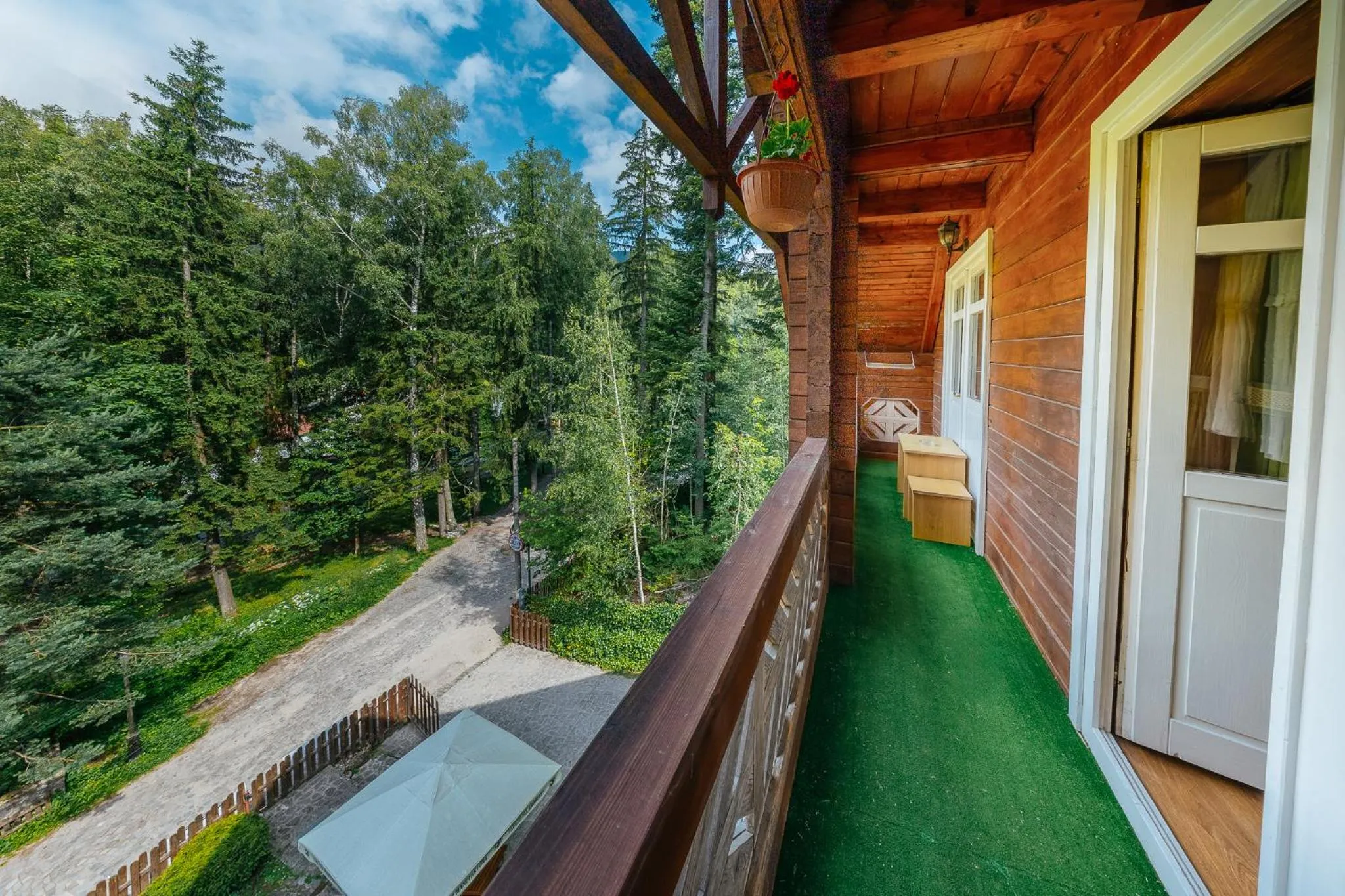 View (from property/room) in Pensiunea Vanatorul