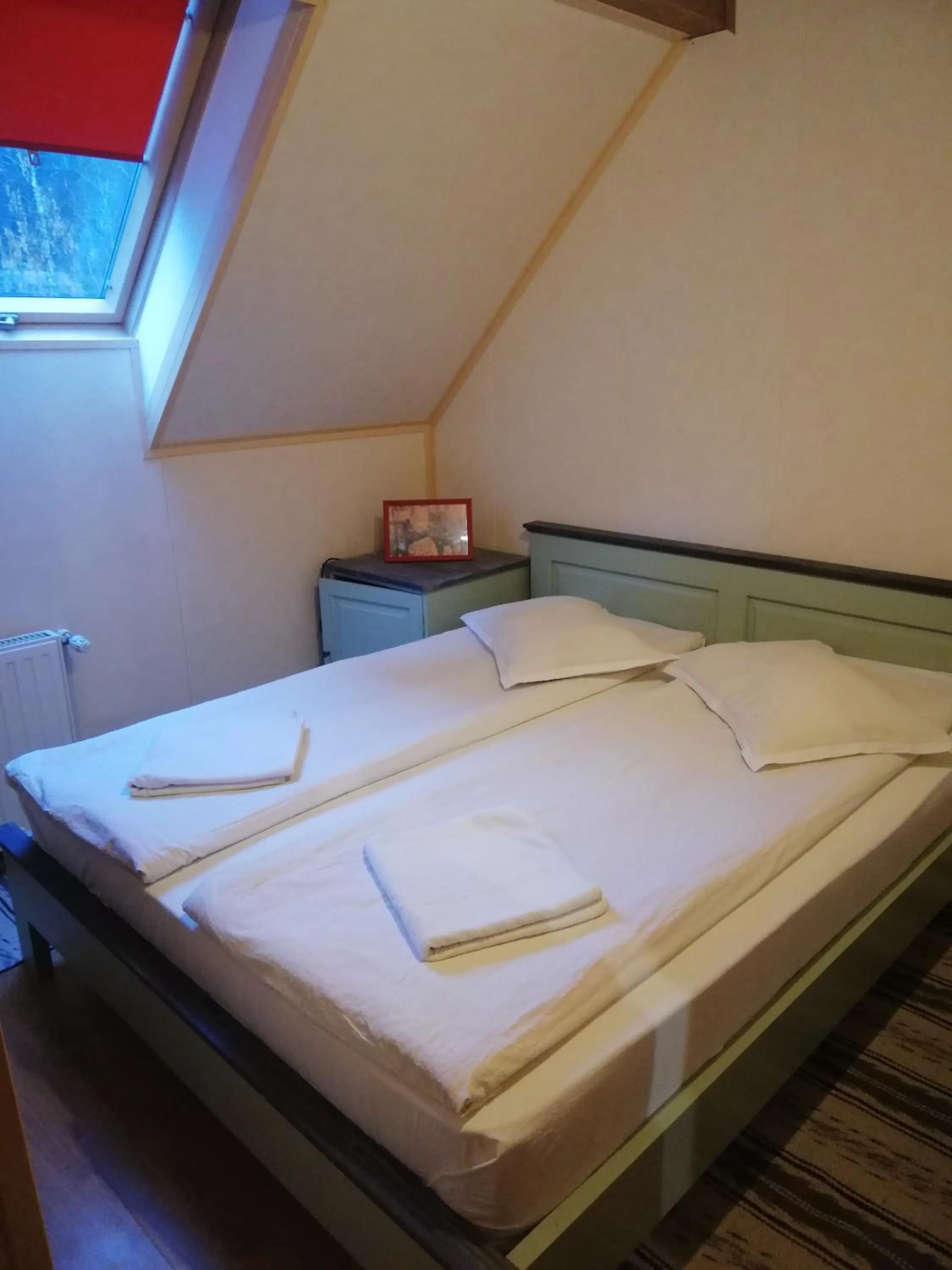 View (from property/room) in Pensiunea Vanatorul