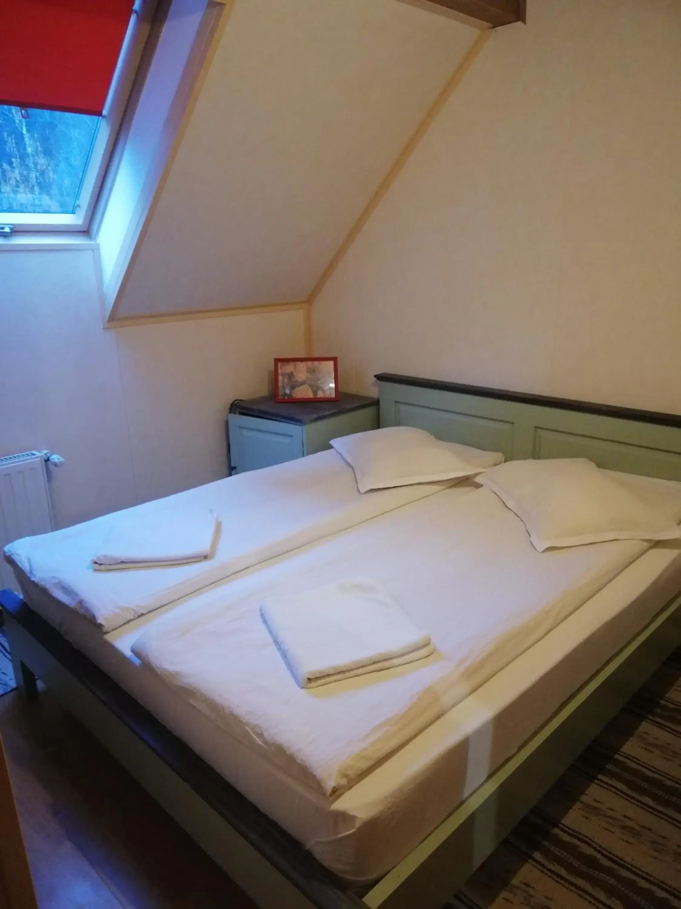 Budget Double Room in Pensiunea Vanatorul Budget Double Room in Pensiunea Vanatorul