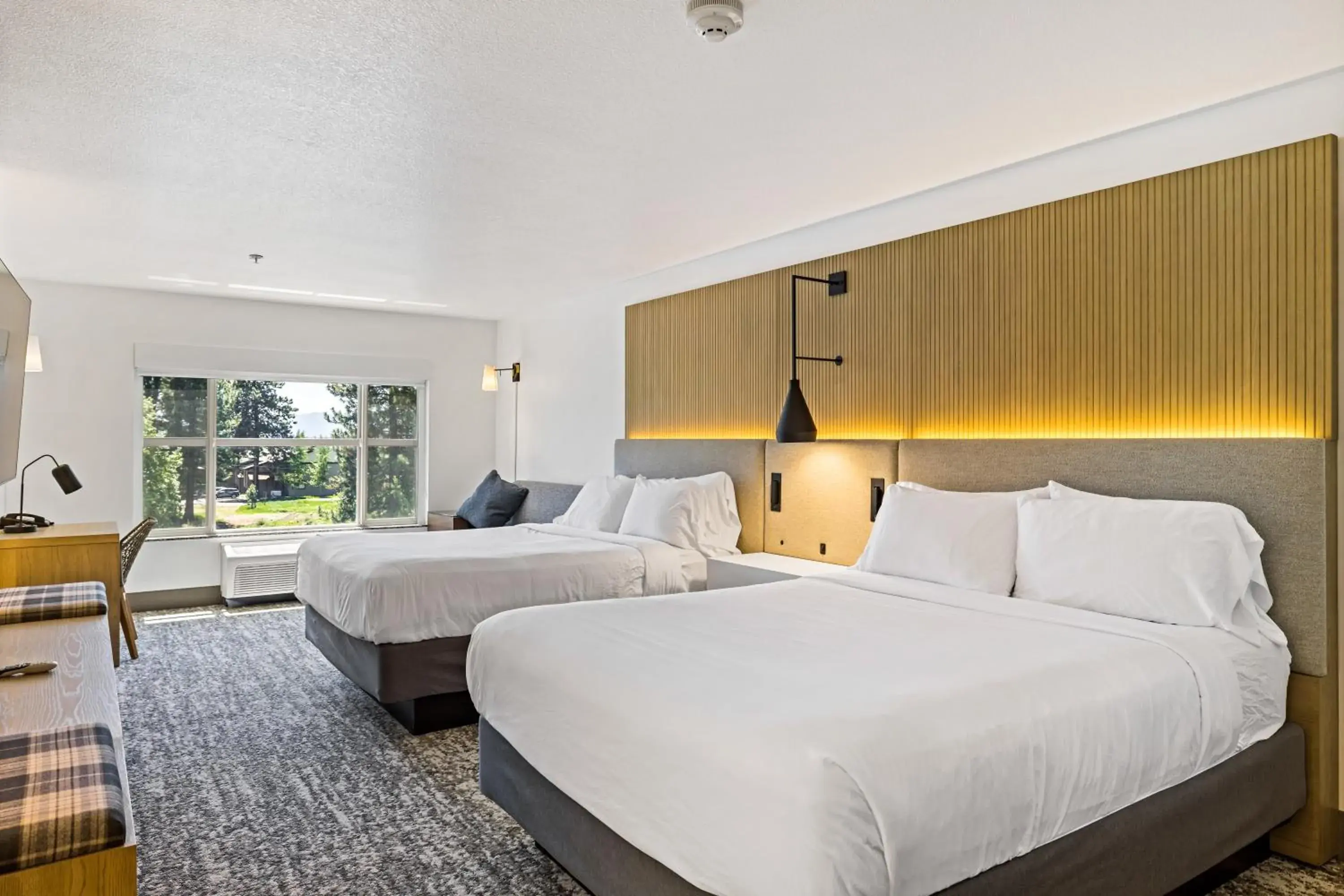 Standard Double Room in The Evergreen Hotel Standard Double Room in The Evergreen Hotel