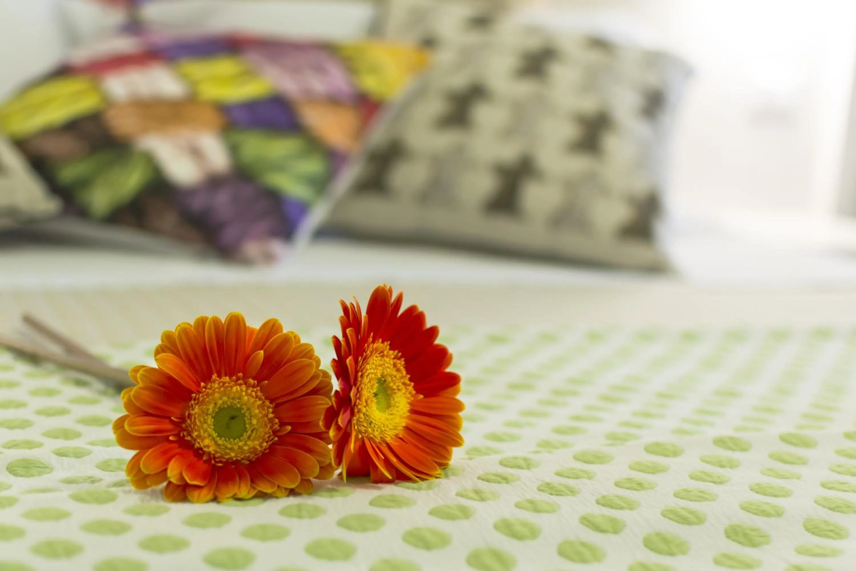 Bedroom, Bed in Agriturismo Il Megalite