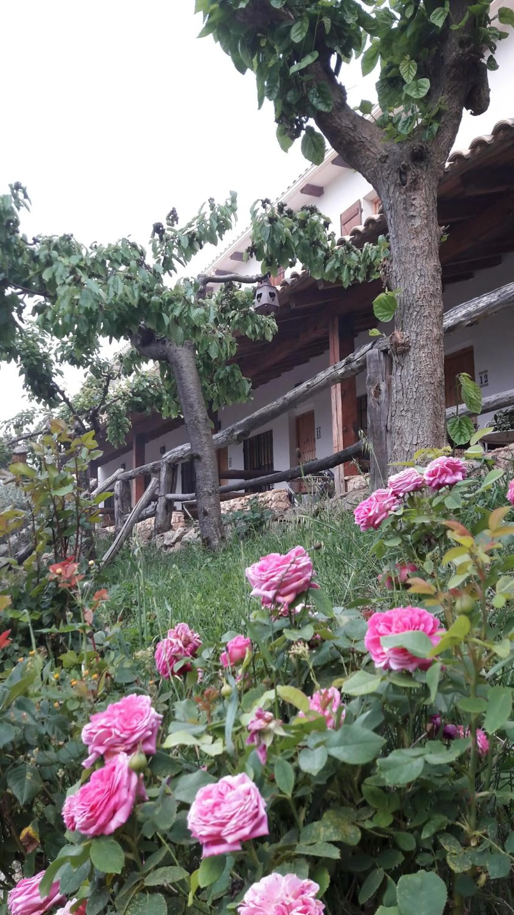 Chorros del Río Mundo