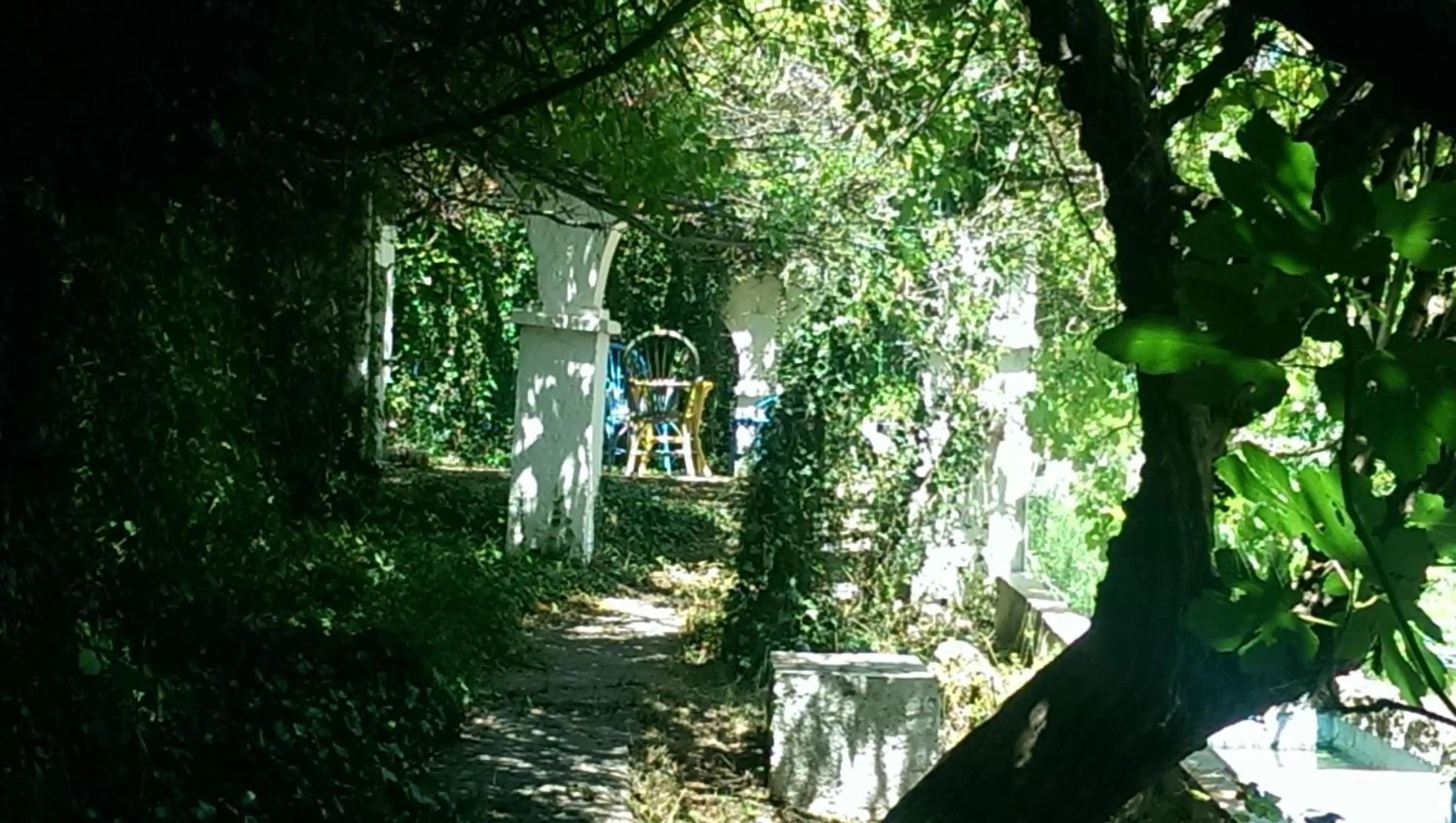 Garden in Chorros del Río Mundo