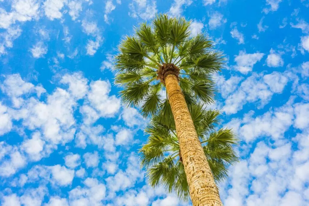 Poolside Studio w Rooftop Deck - Walk to Old Town