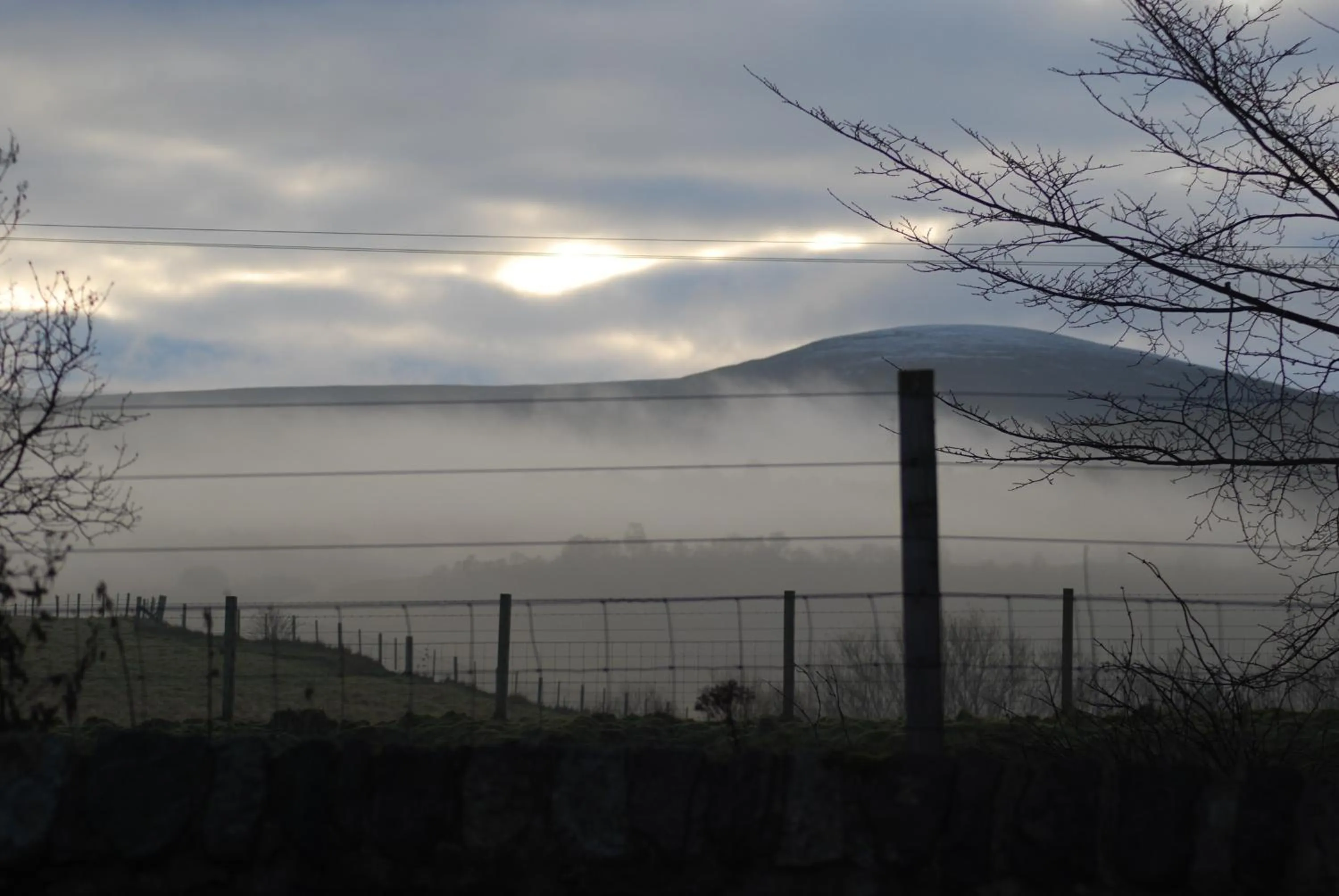 Natural landscape in Columba House
