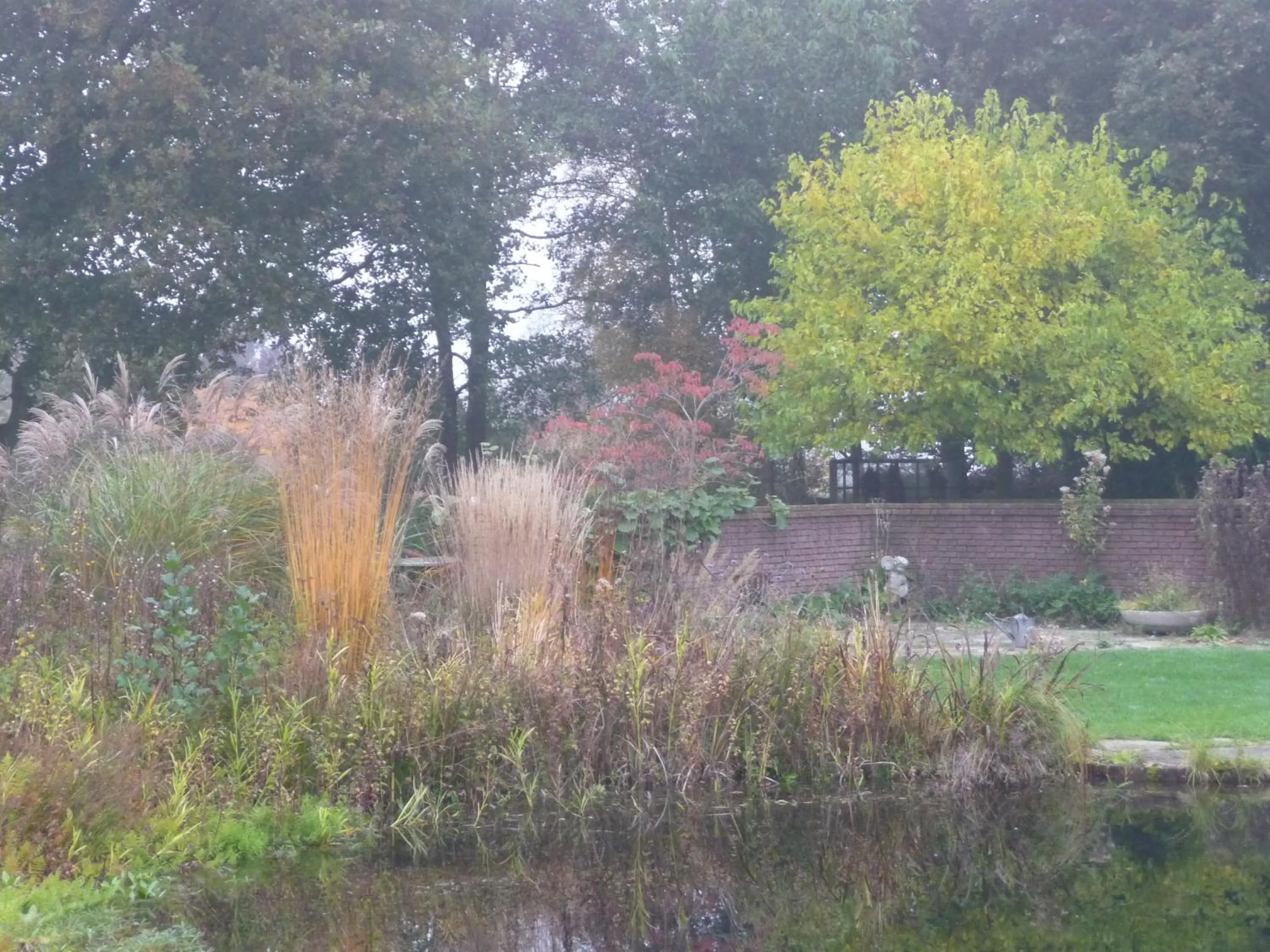 Garden in Selatuinen