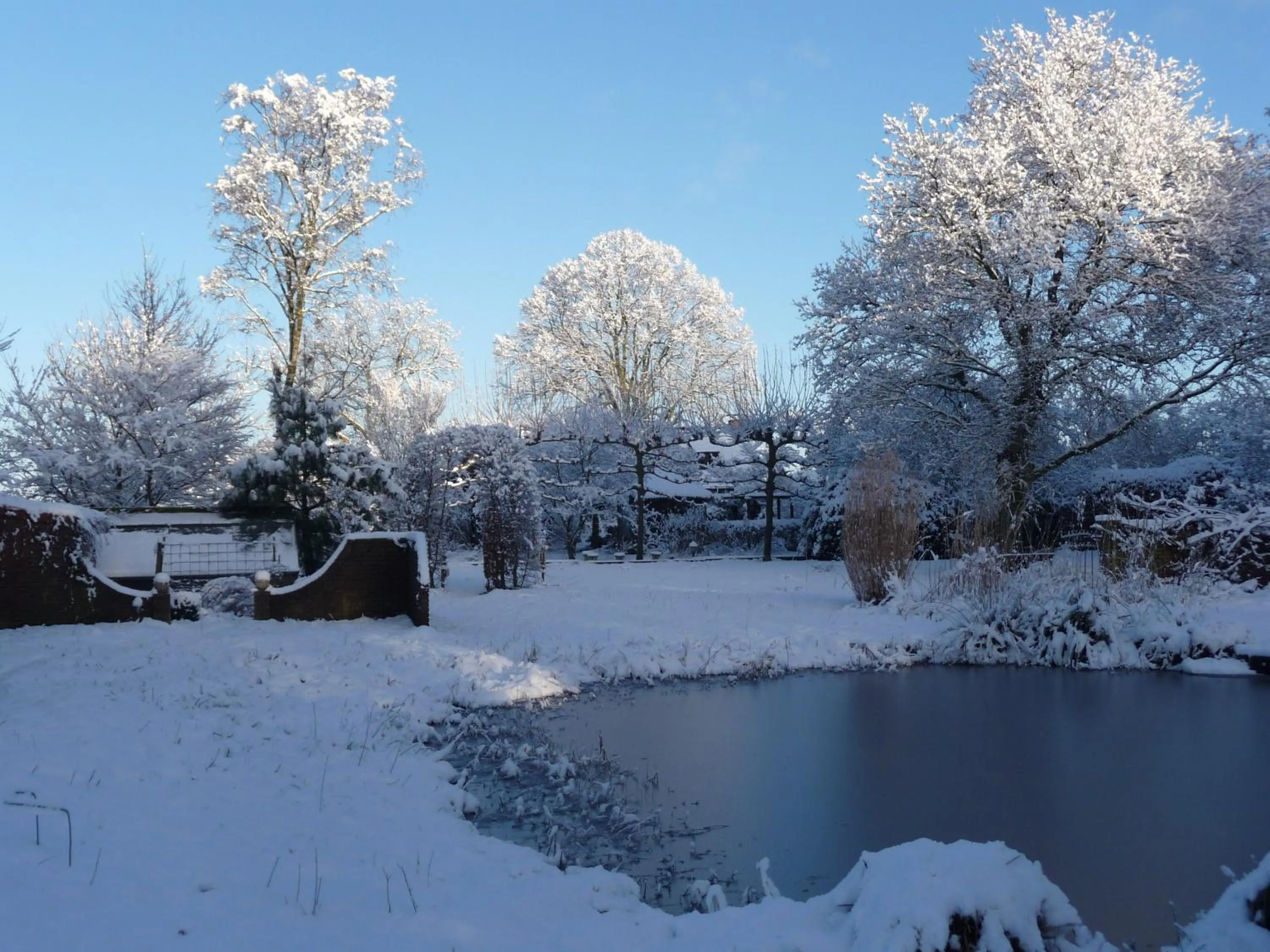 Garden in Selatuinen