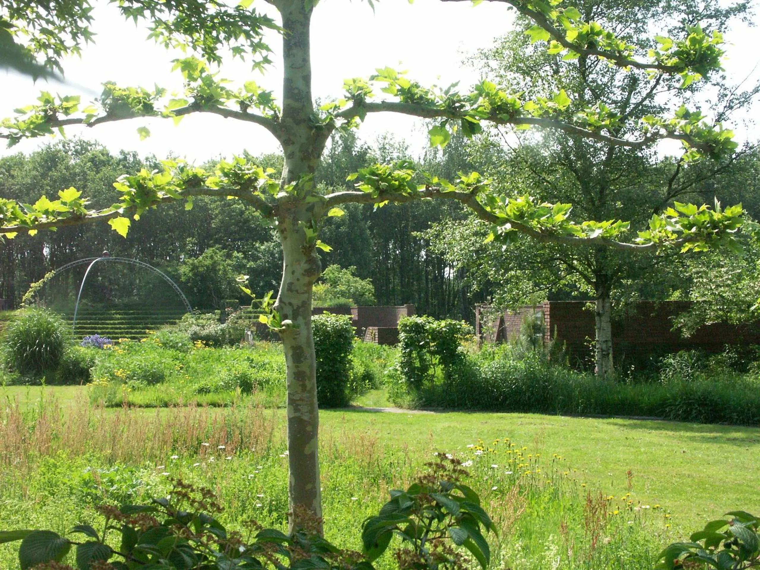 Garden in Selatuinen