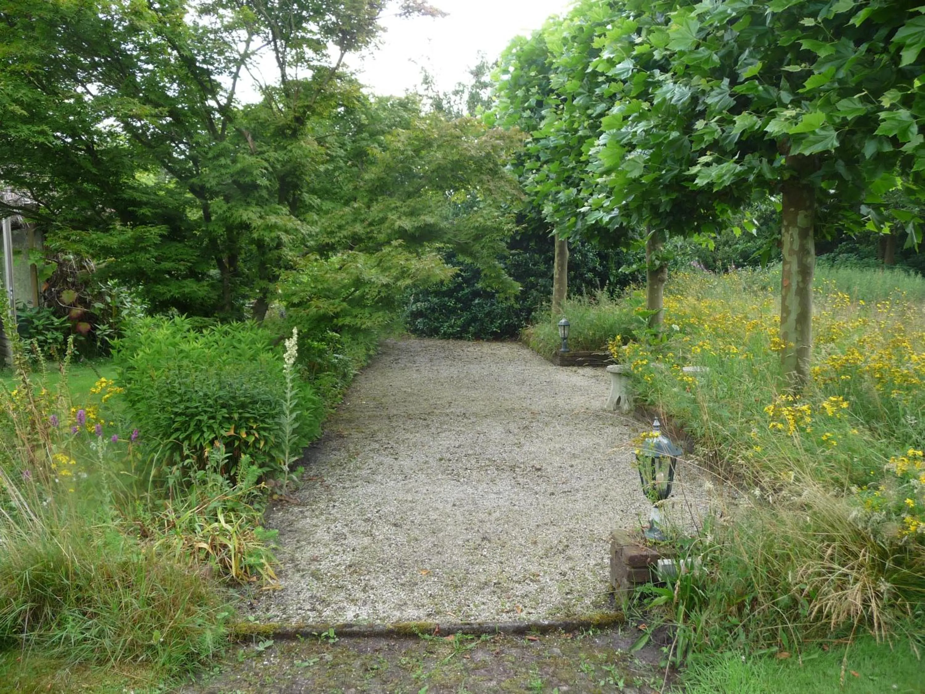 Garden in Selatuinen