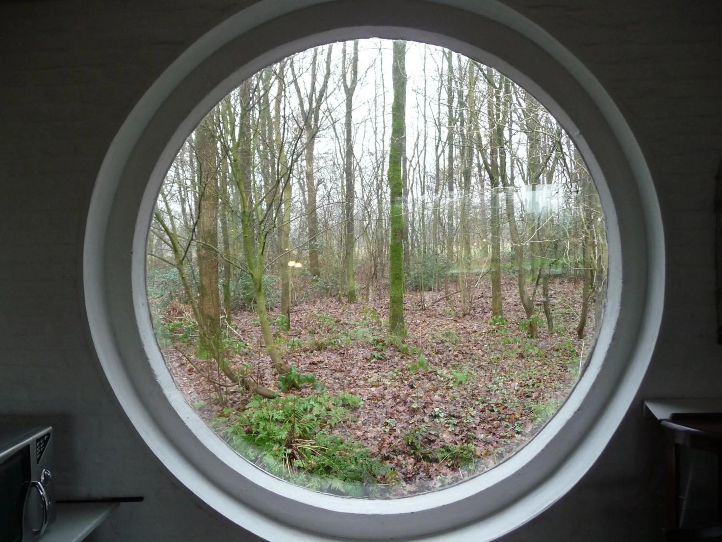 View (from property/room) in Selatuinen