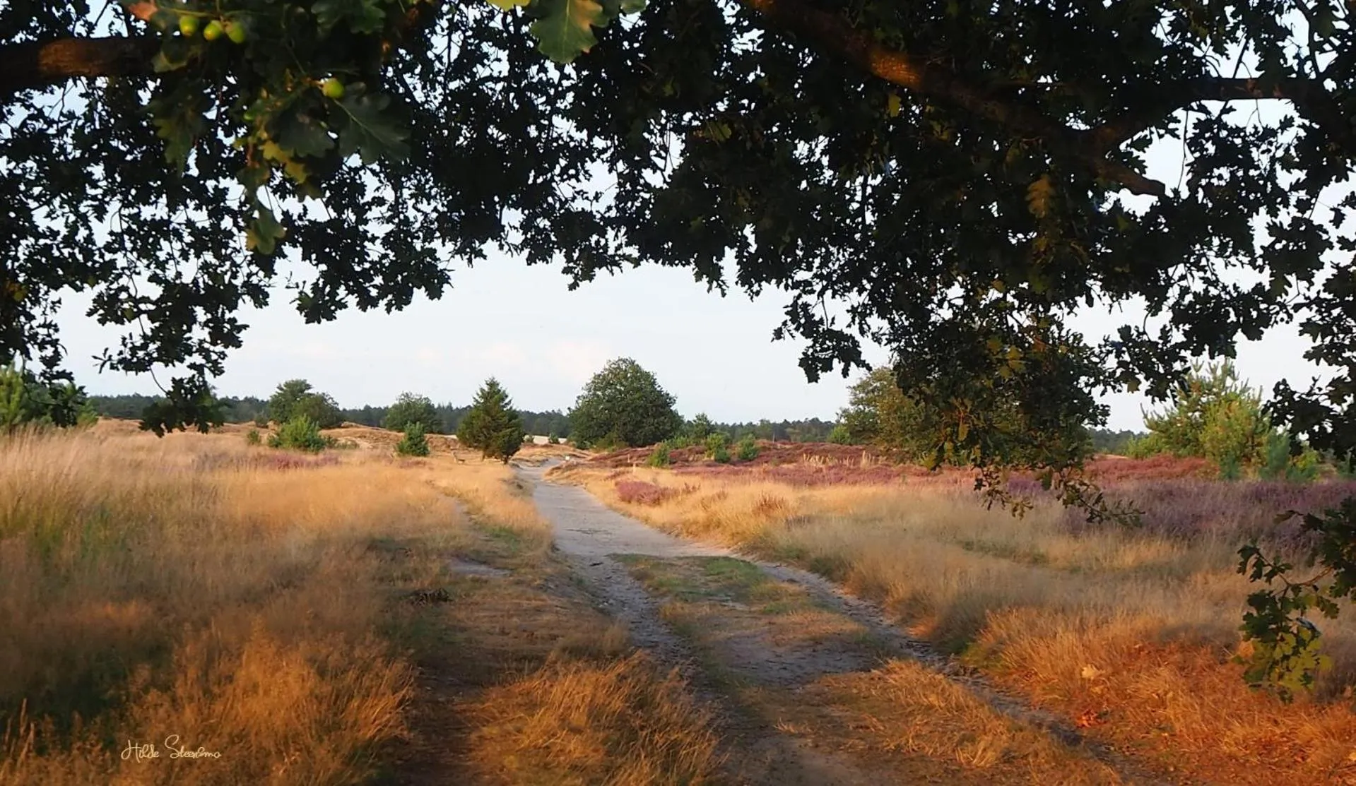 Natural landscape in Selatuinen