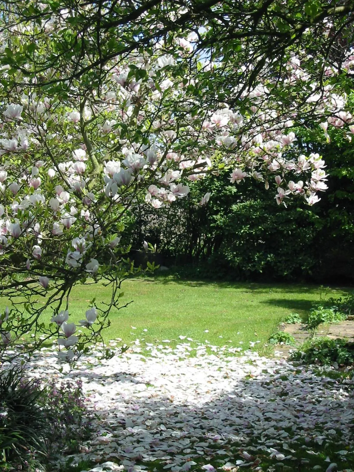 Spring in Selatuinen